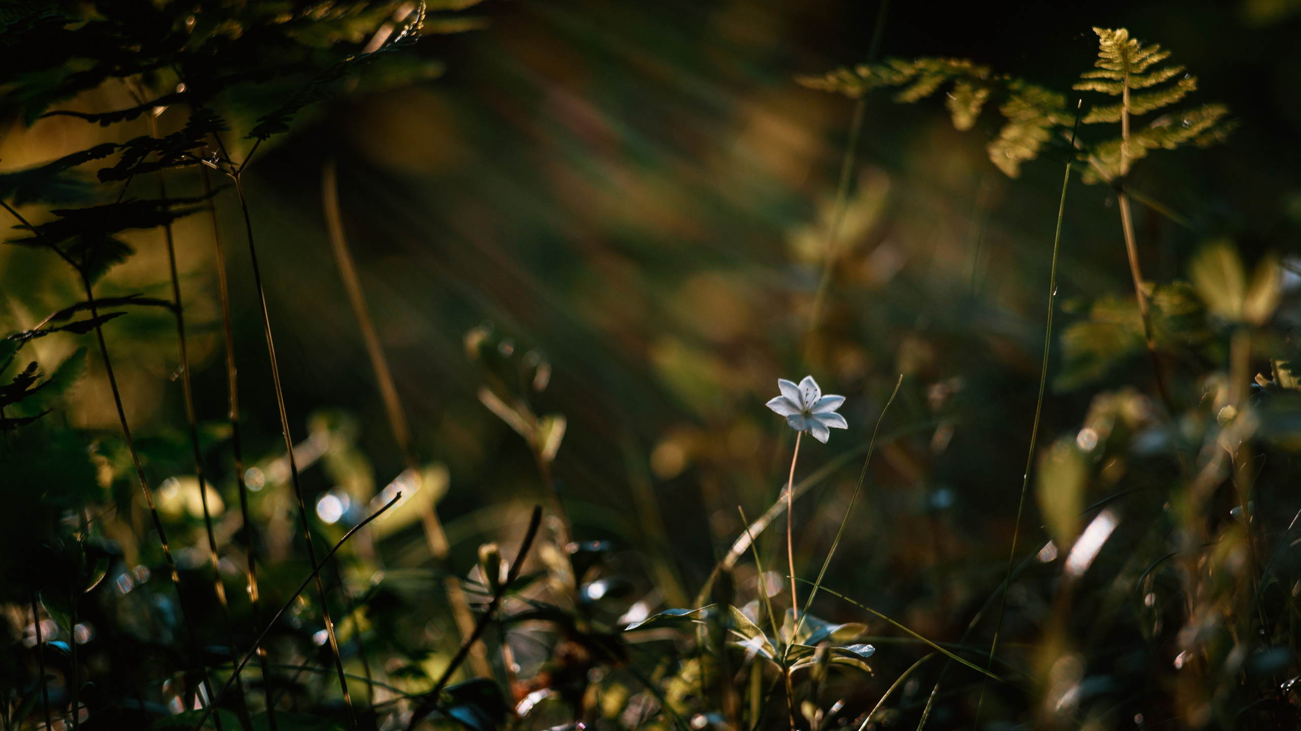 Геологическая практика «Ловозеры». Коммерческий фотограф в Москве — Антон Ермаков