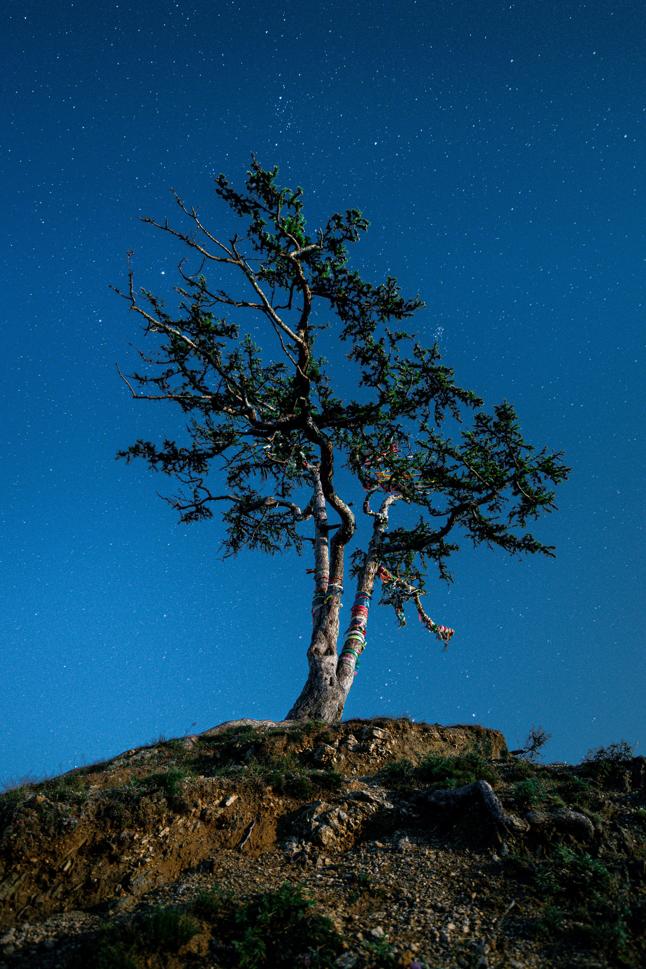 Nature Photos. Commercial photographer | Anton Ermakov