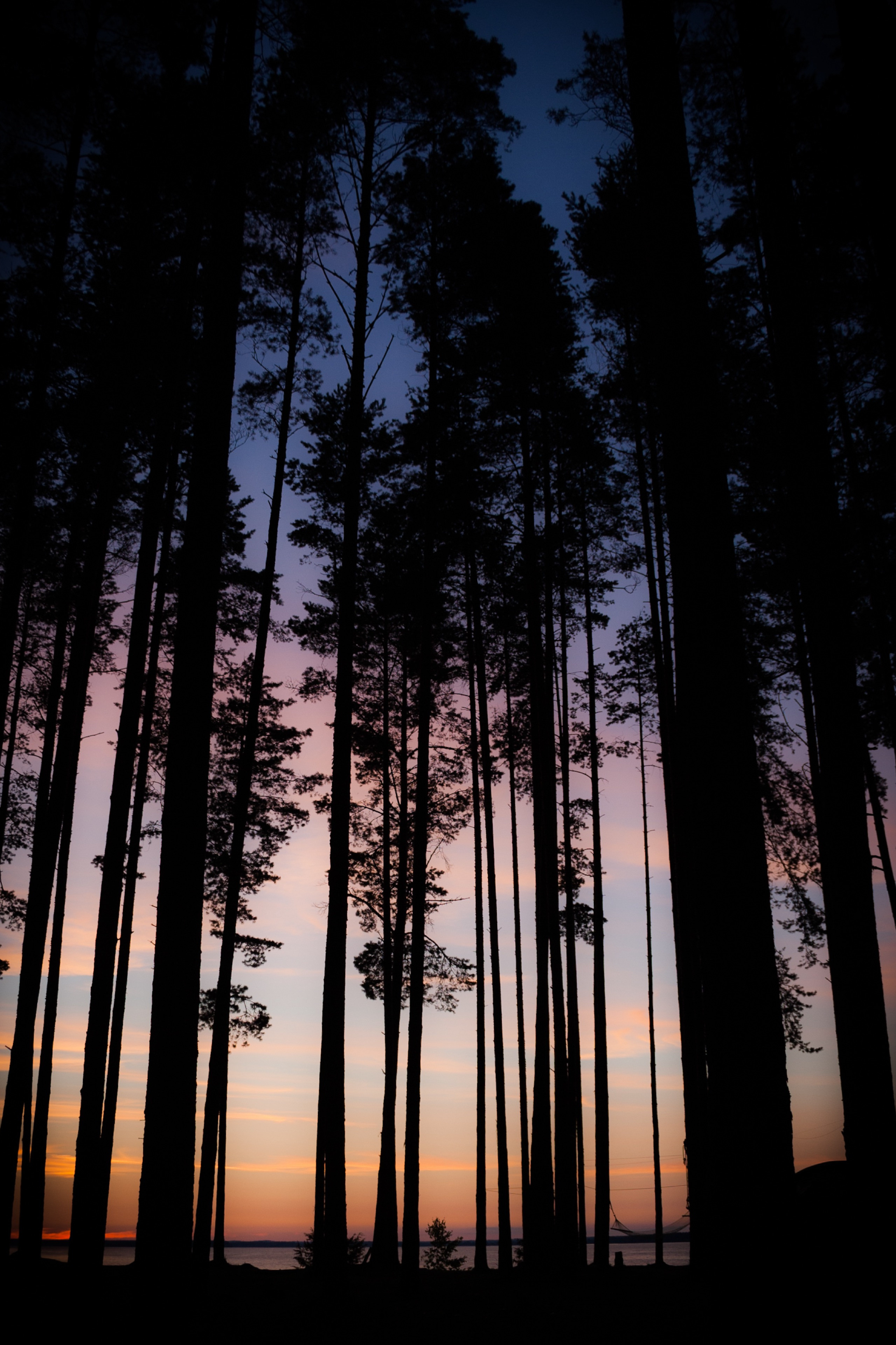 Nature Photos. Commercial photographer | Anton Ermakov