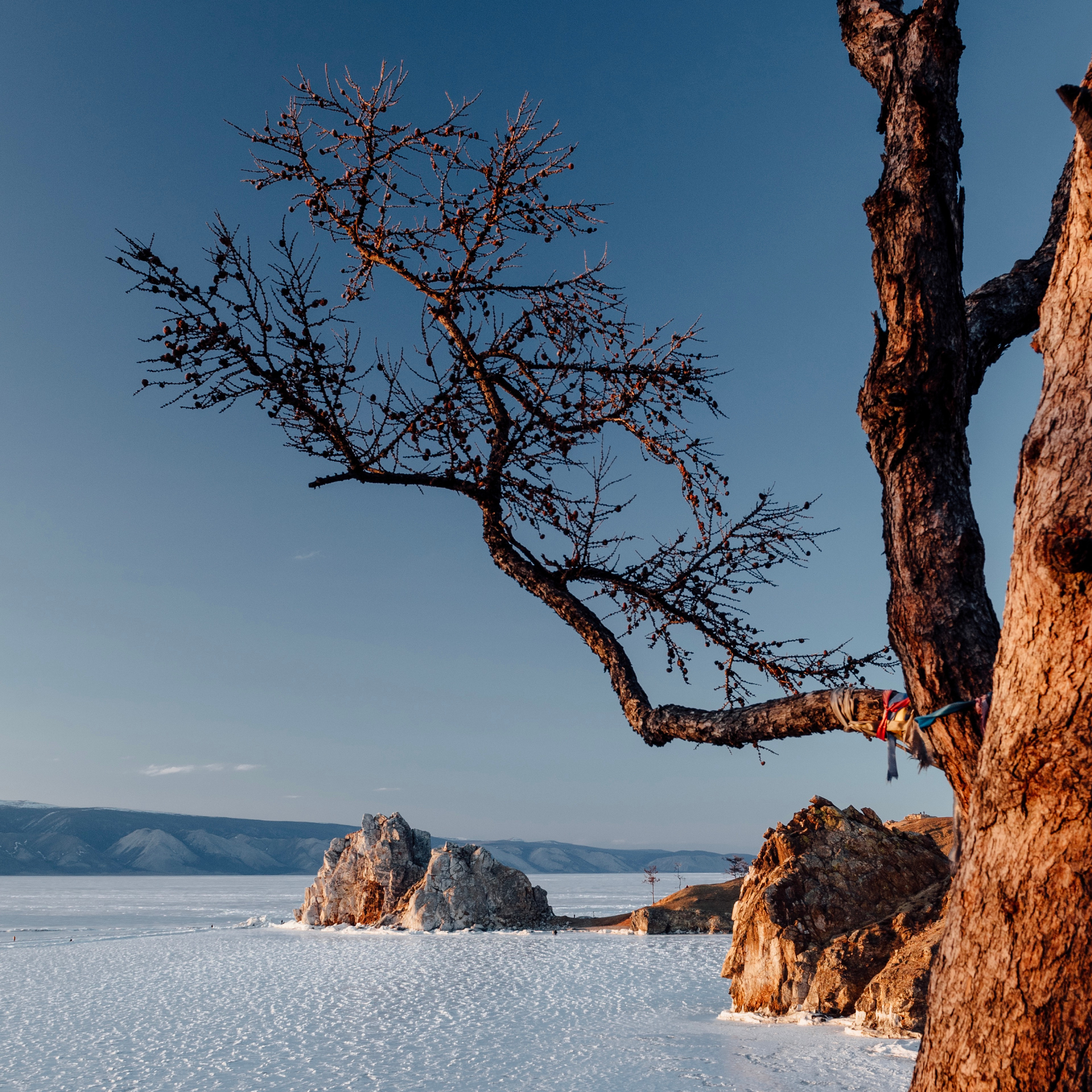 Nature Photos. Commercial photographer | Anton Ermakov