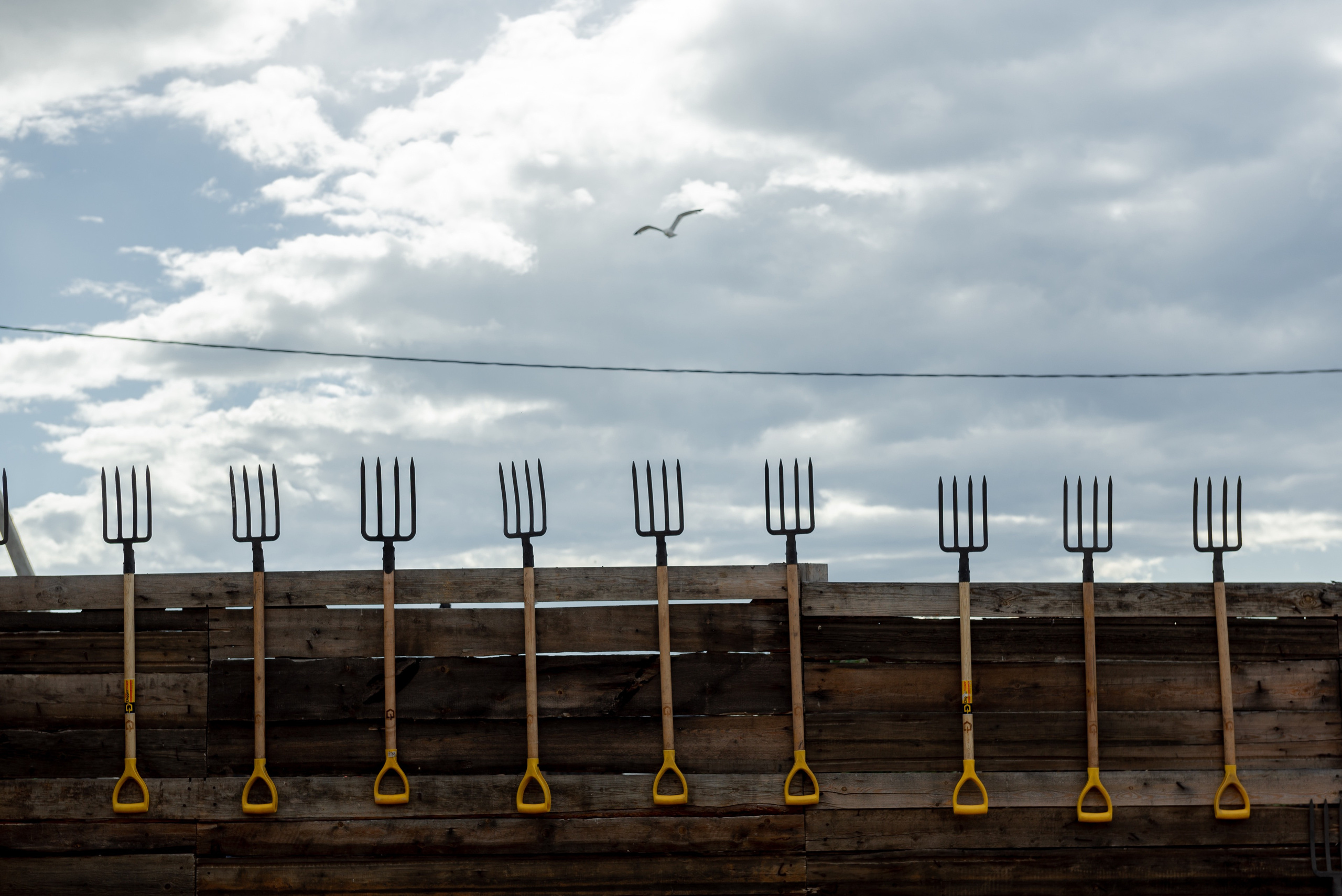 Nature Photos. Commercial photographer | Anton Ermakov