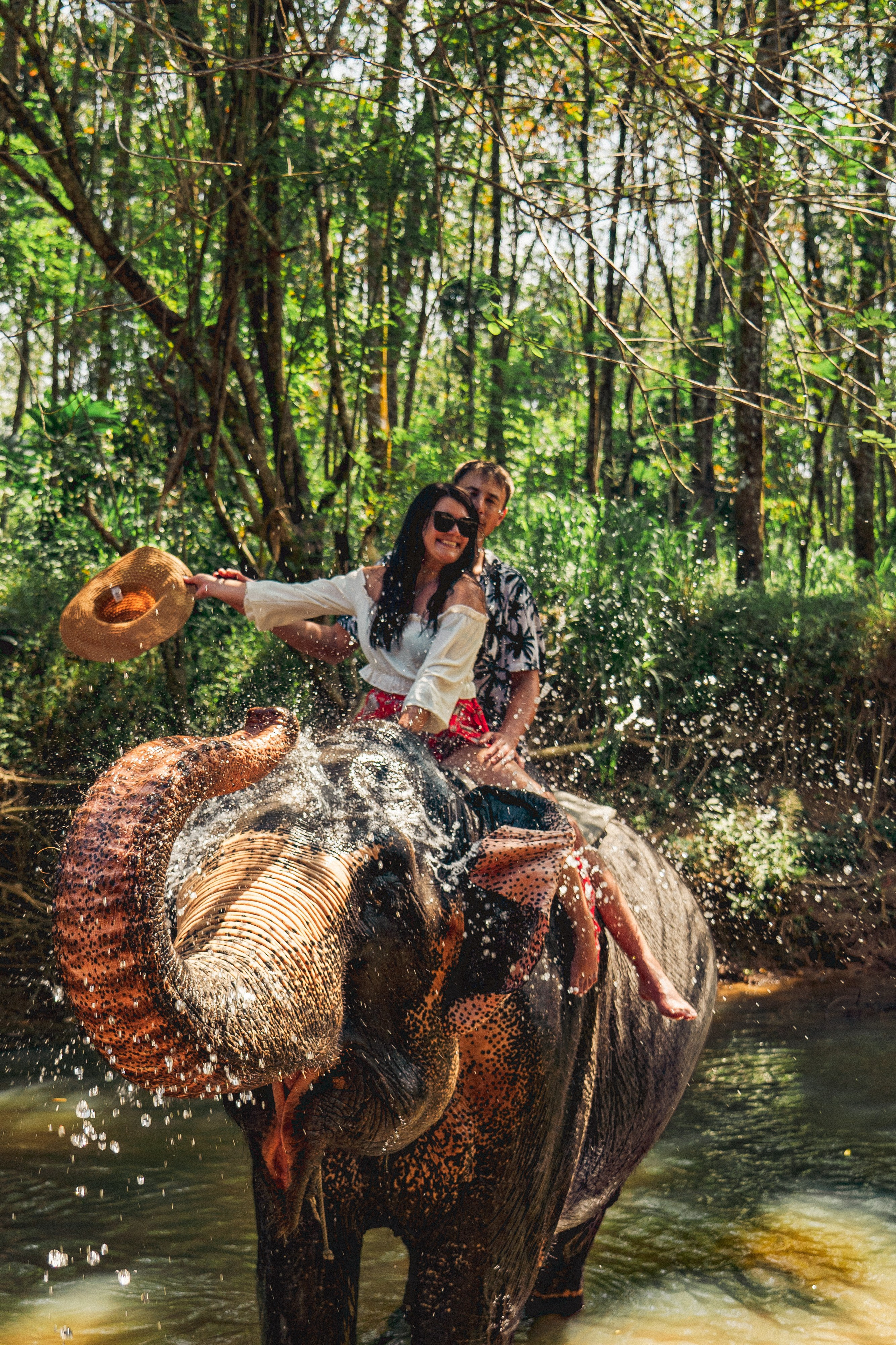 Bathing with elephants in Pinnawala, Botanical Garden
