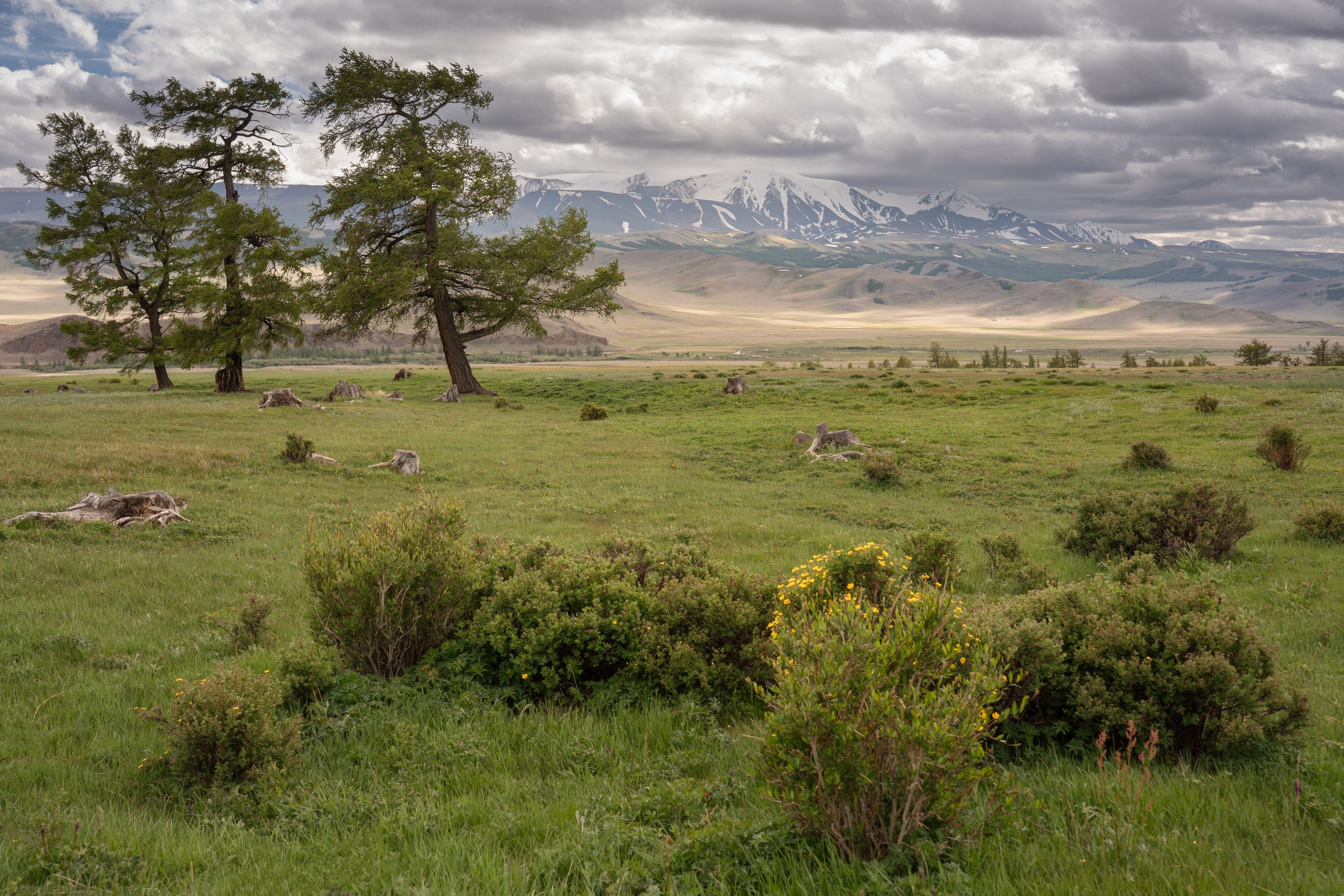 Тува. Фотограф в Красноярске Нерозя Александр. Пейзаж, природа, портрет