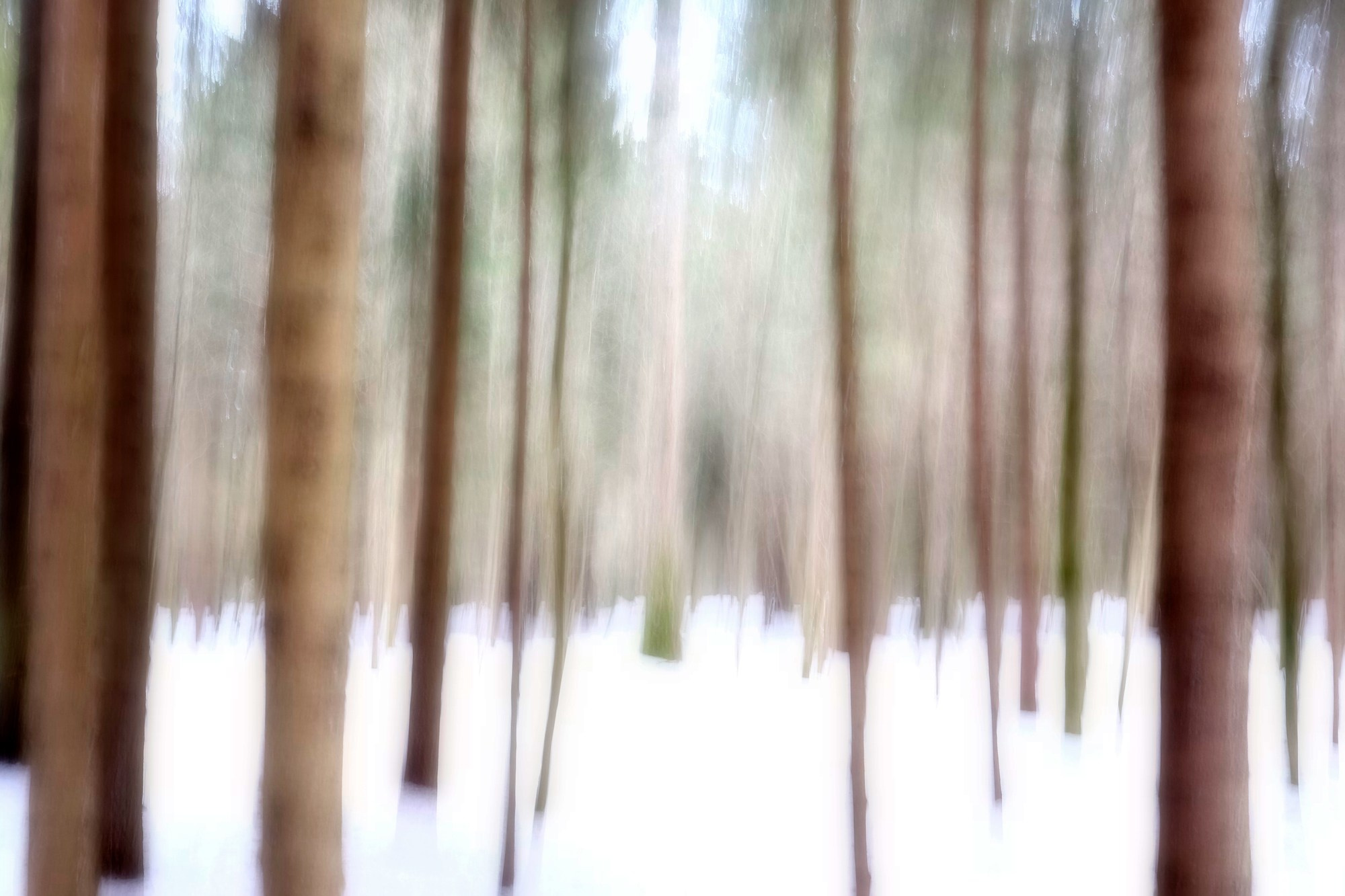 Зыбь. Фотограф в Москве, в Самаре Инна Мамонова