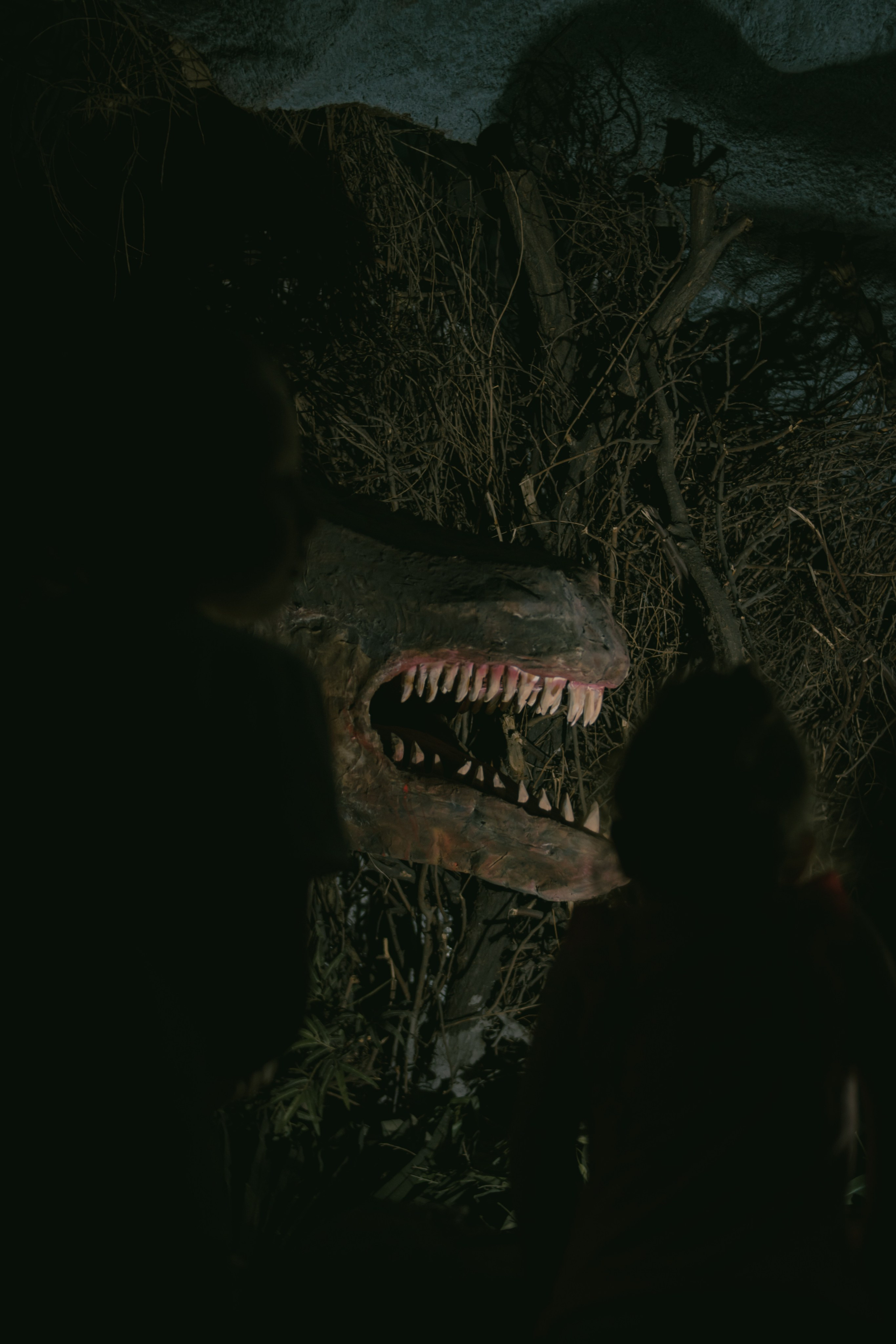 Визуальный дневник. Репортажный фотограф в Алматы Цой Сергей