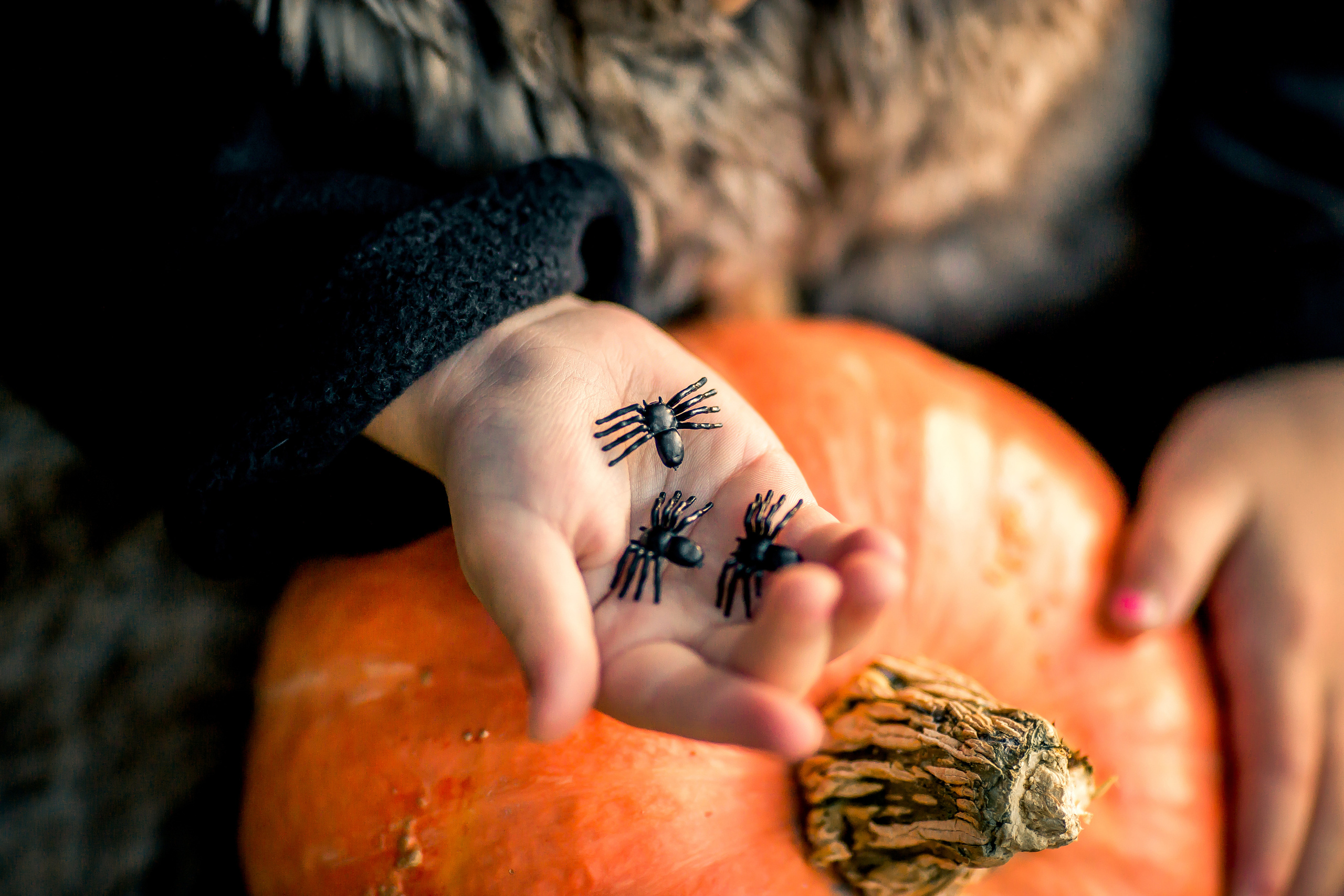Фотопроекты. Детский и семейный фотограф в Красноярске Елена Коровкина