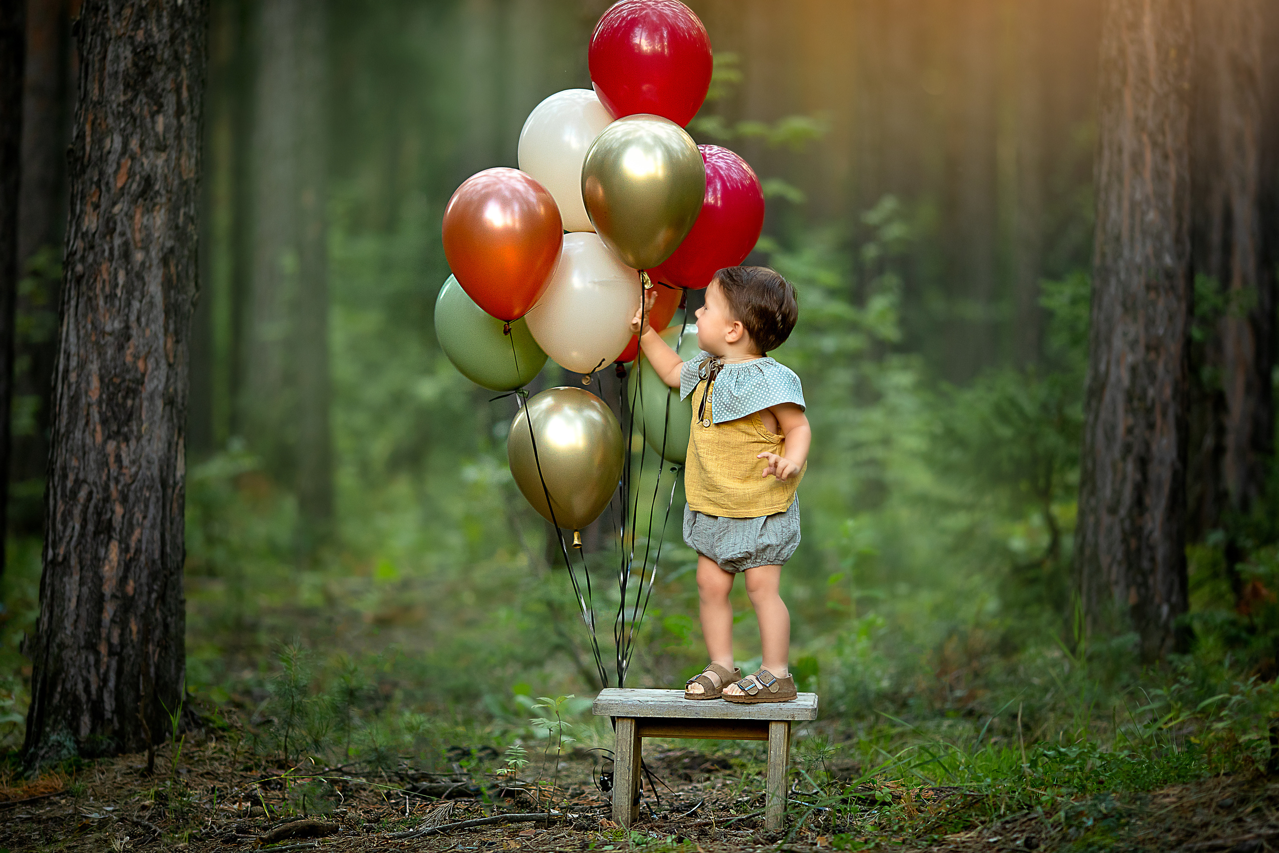 Birthday party. Детский и семейный фотограф в Красноярске Елена Коровкина
