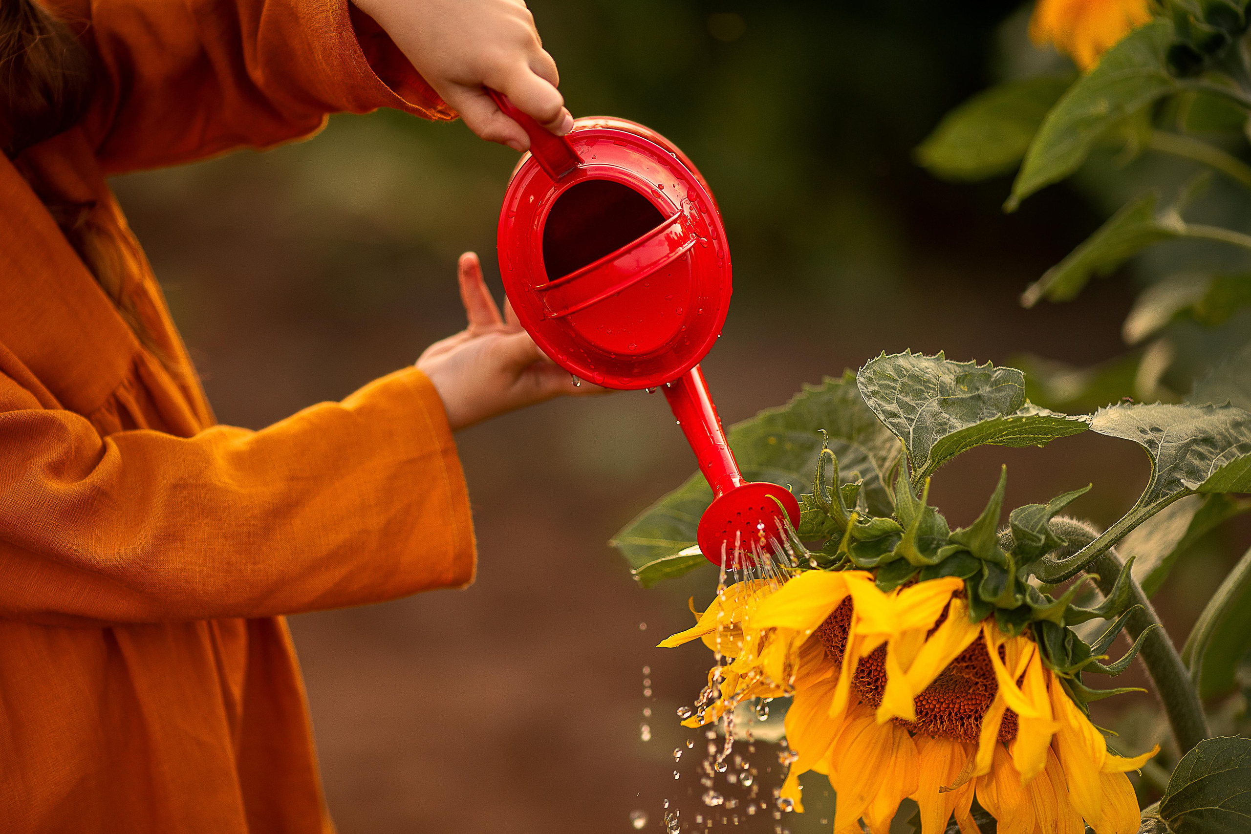 Семья и дети. Детский и семейный фотограф в Красноярске Елена Коровкина
