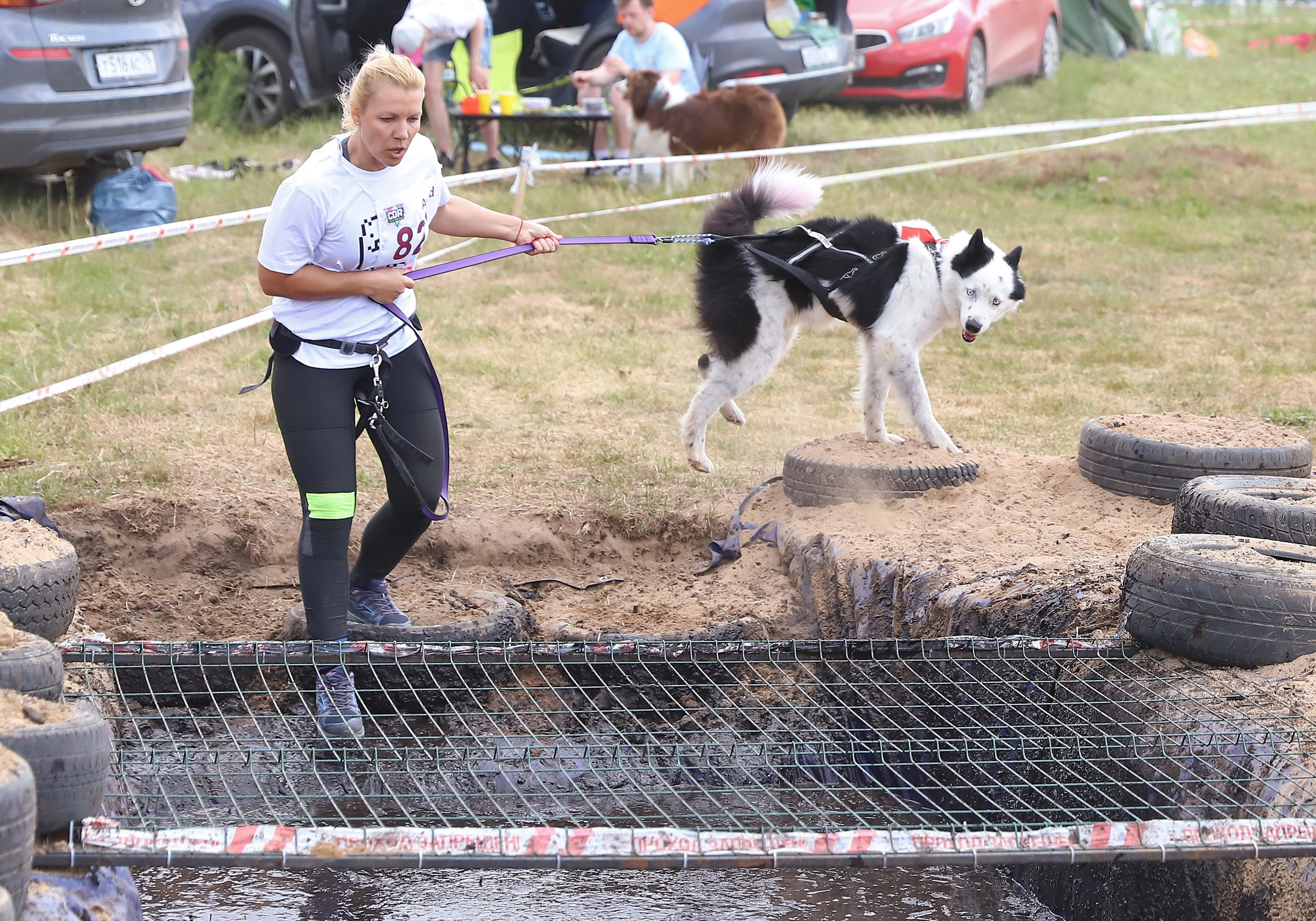 Хвостатый драйв. Семейный и детский фотограф в Москве и МО Елена Москвичева