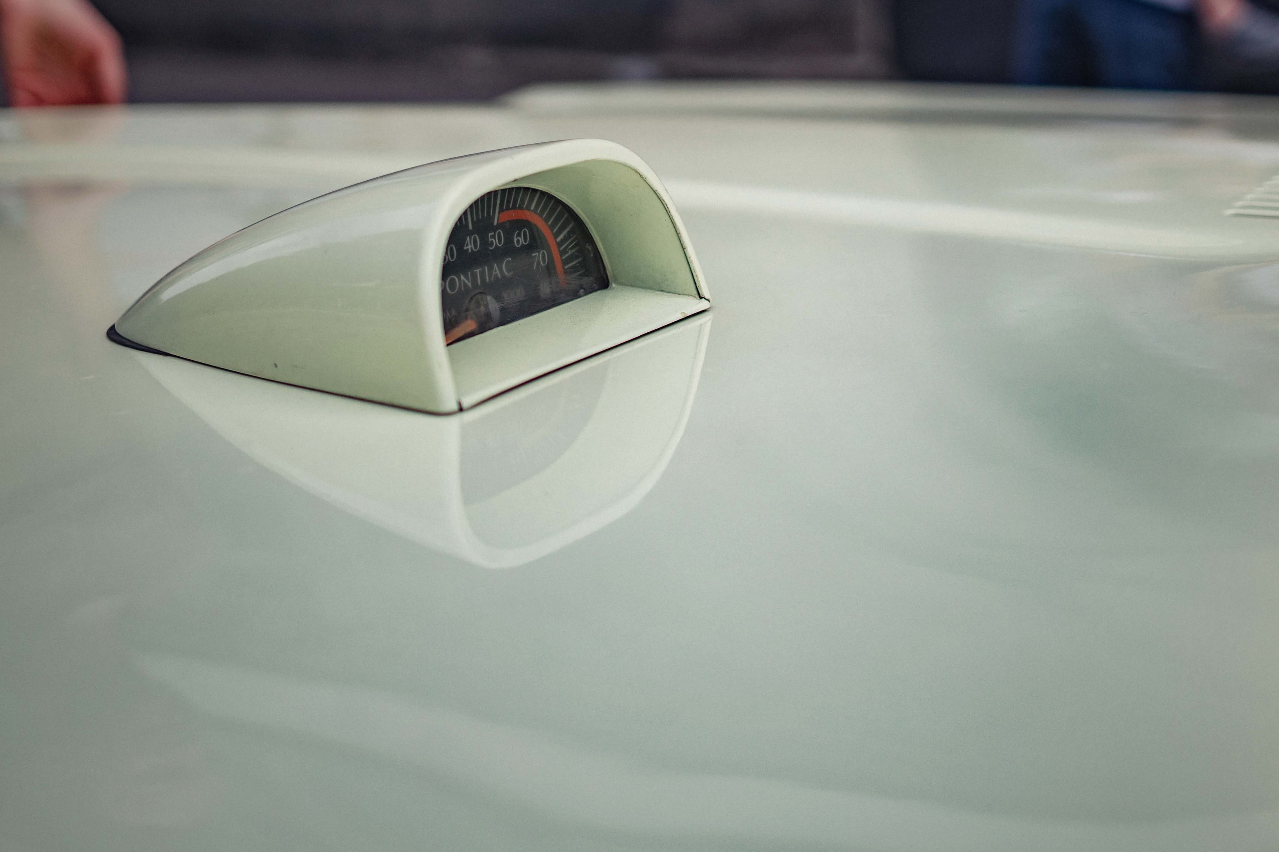 ROHA Надежда 08.07.23