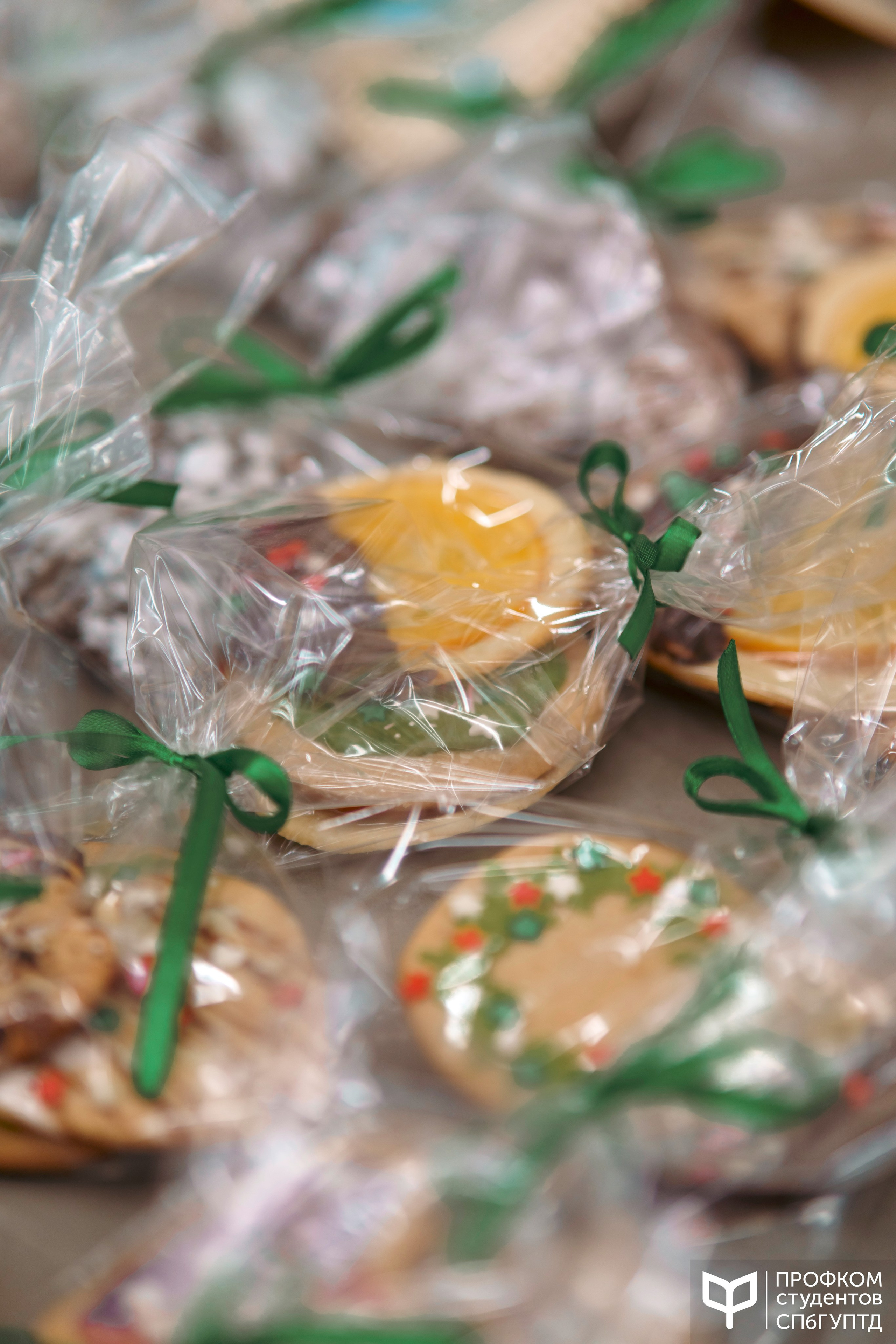 Новогодняя ярмарка 2024. Фотограф в Санкт-Петербурге Ибрагимова Алина