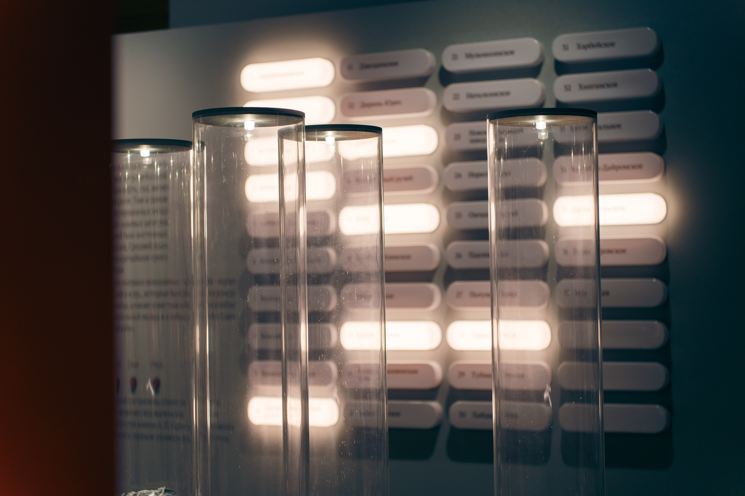 Выставка Великая страна — великая победа. Фотограф в Санкт-Петербурге Ибрагимова Алина