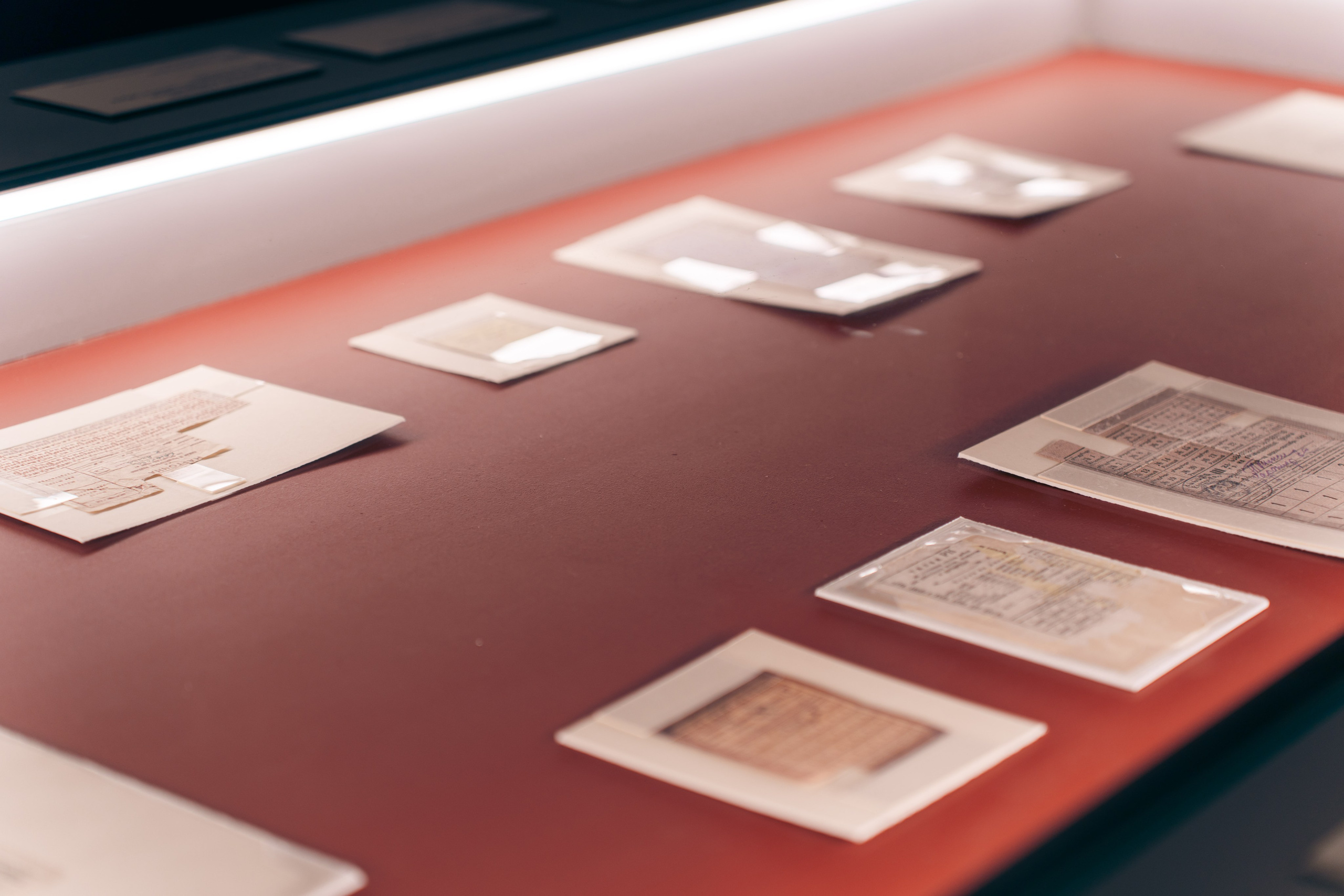 Выставка Великая страна — великая победа. Фотограф в Санкт-Петербурге Ибрагимова Алина