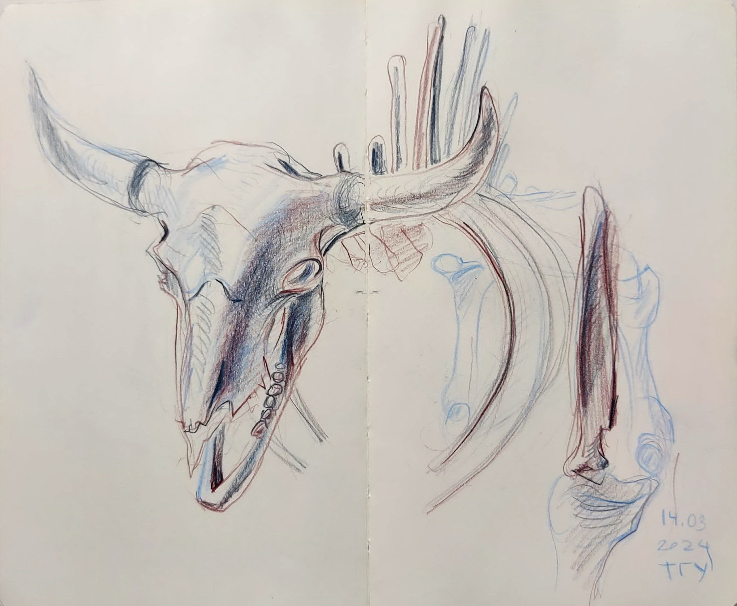 Quick Sketches. Alexander Manaenkov | Watercolor Artist from Siberia