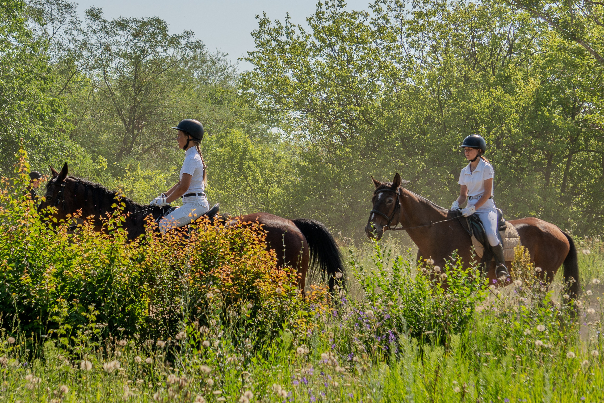 За полчаса до соревнований, жокеи на лошадях разминаются за ипподромом