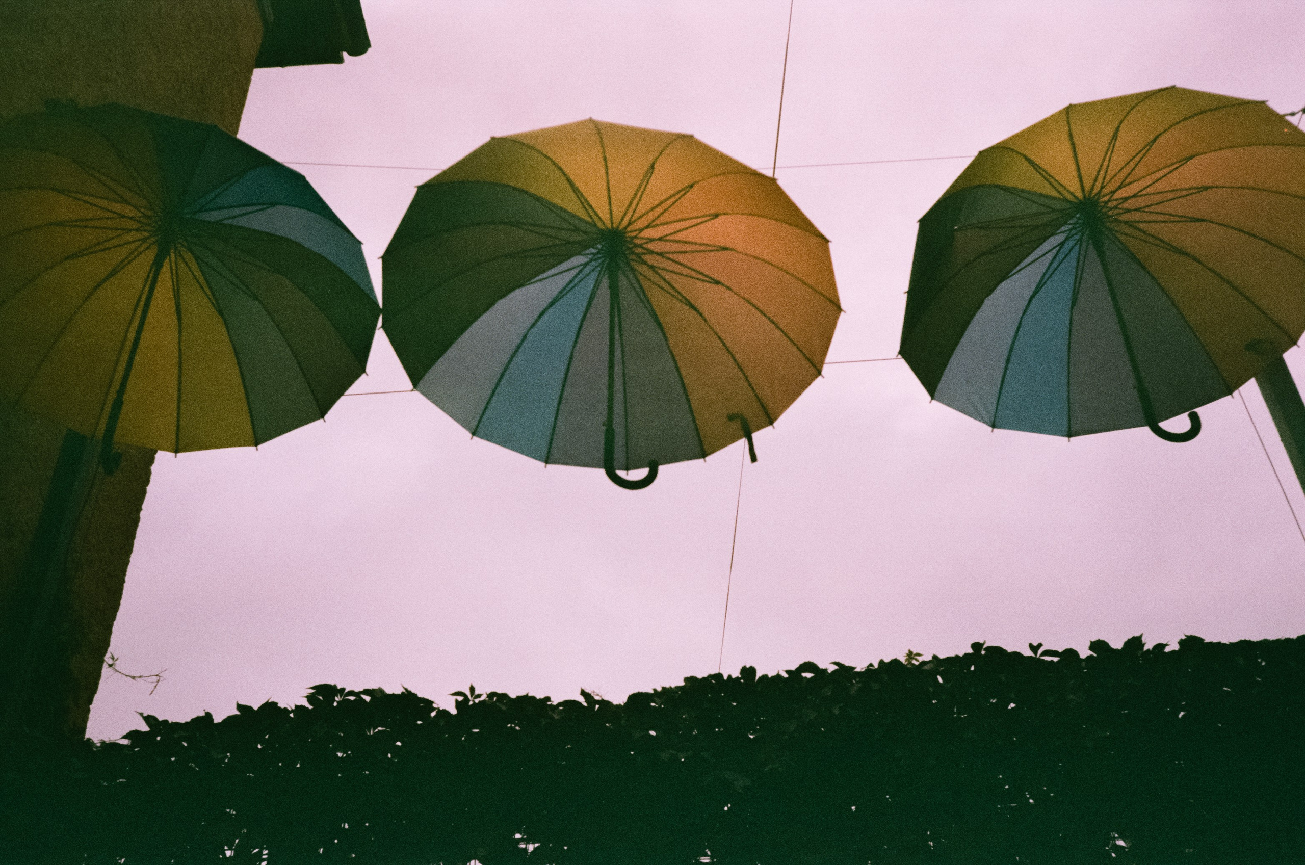 Белоконь Алексей. Фотография на пленку. Семья и путешествия