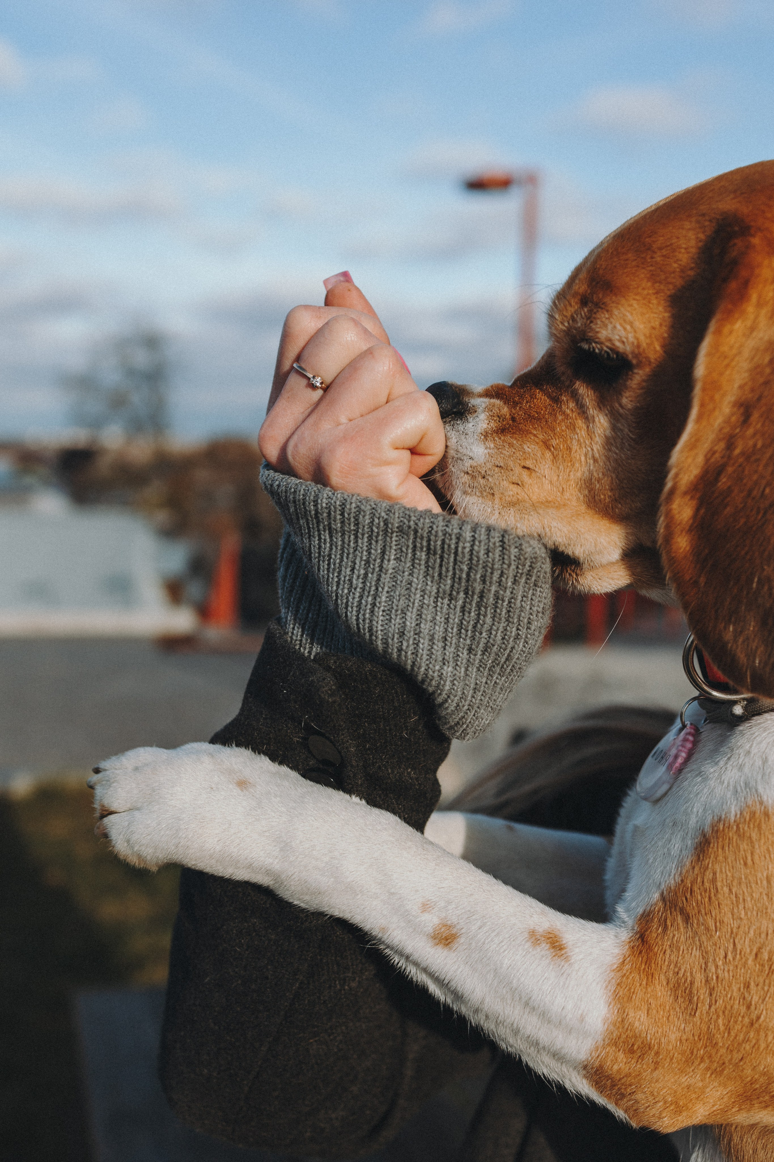 Аня и Моня. Фотограф — анималист Светлана Кысса|фотограф собак в Краснодаре и Нижнем Новгороде