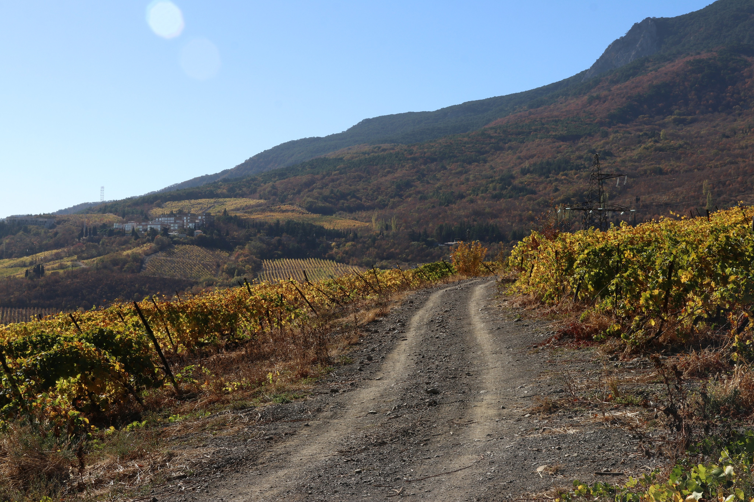 Крым. ЮБК (Гурзуф, Судак и их окрестности). Ноябрь 2023. Путешественник-фотограф из Санкт-Петербурга Татьяна Свистулина