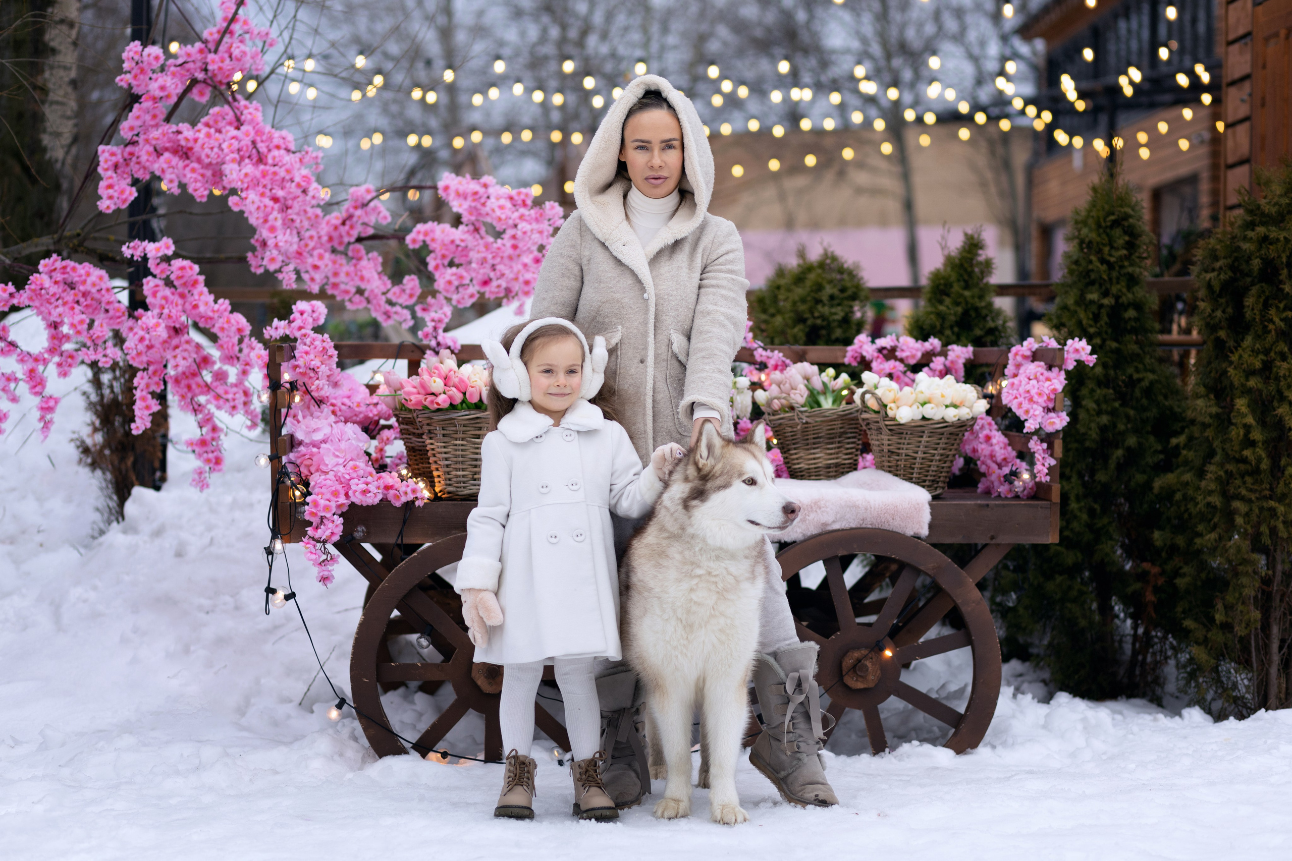 Семейные. Фотограф Юлия Ревищина