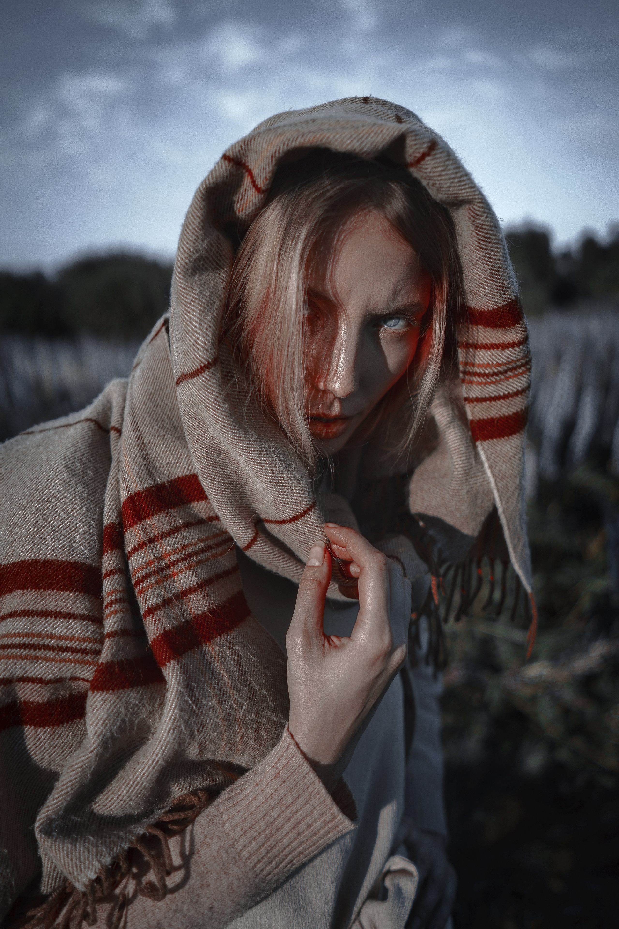 LUPINUS ALBUS. Sergey,kuzichev