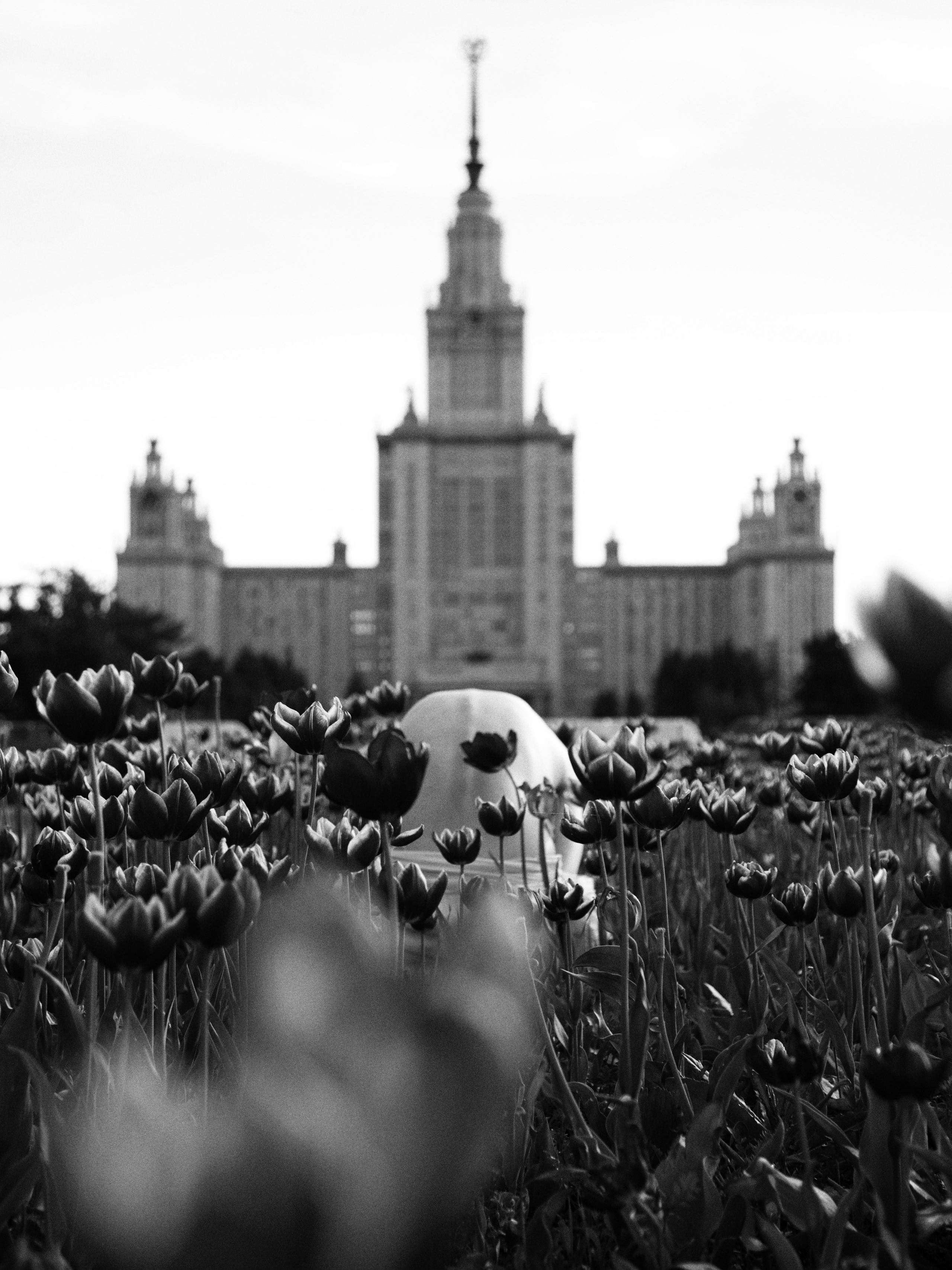Креативная творческая съёмка. Привет! Меня зовут Даша! И я креативный фотохудожник из Москвы!
