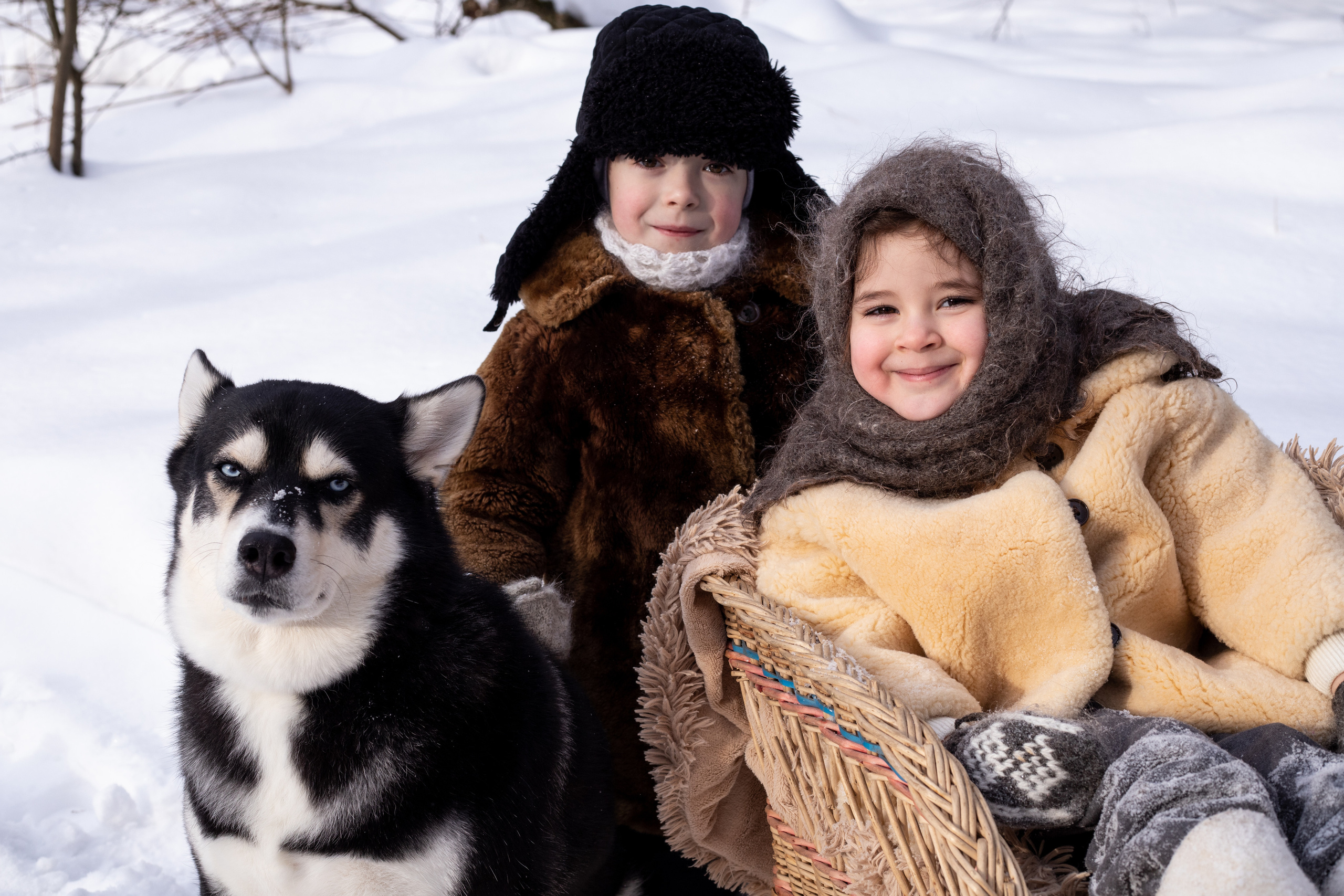 Детская фотография. Семейный фотограф Мария Терехова
