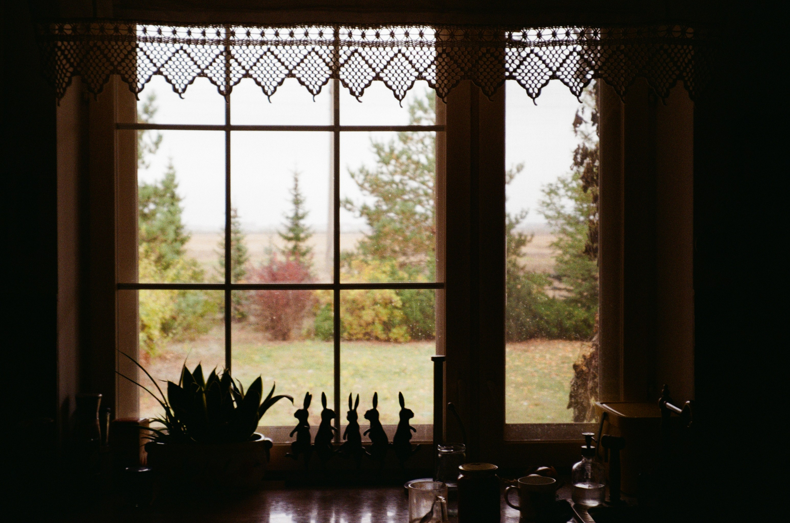 Пленочная фотография. ТАТИ | Татьяна Тихонова | фотограф | Тольятти Самара