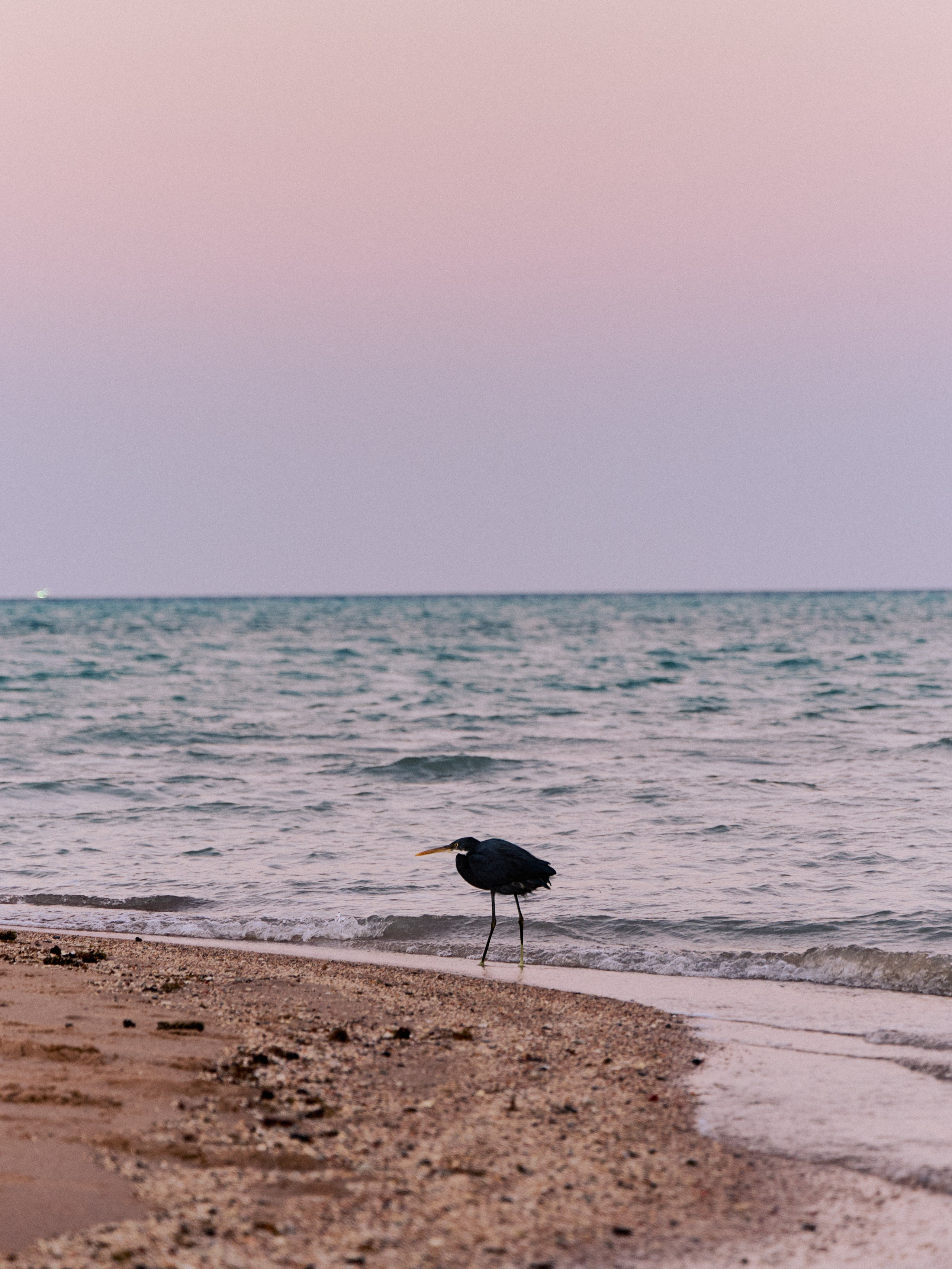 Другое 3. Jorgis — фотограф в Хургаде / обучение фотографии