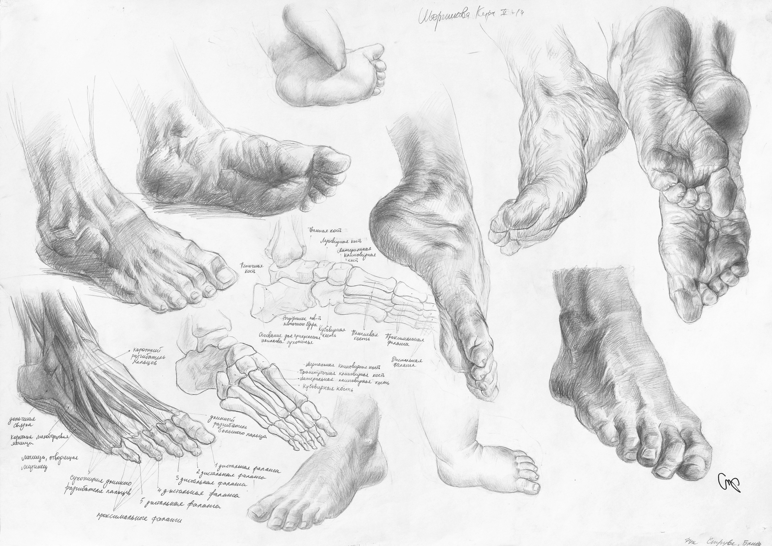 Работы студентов. Главная