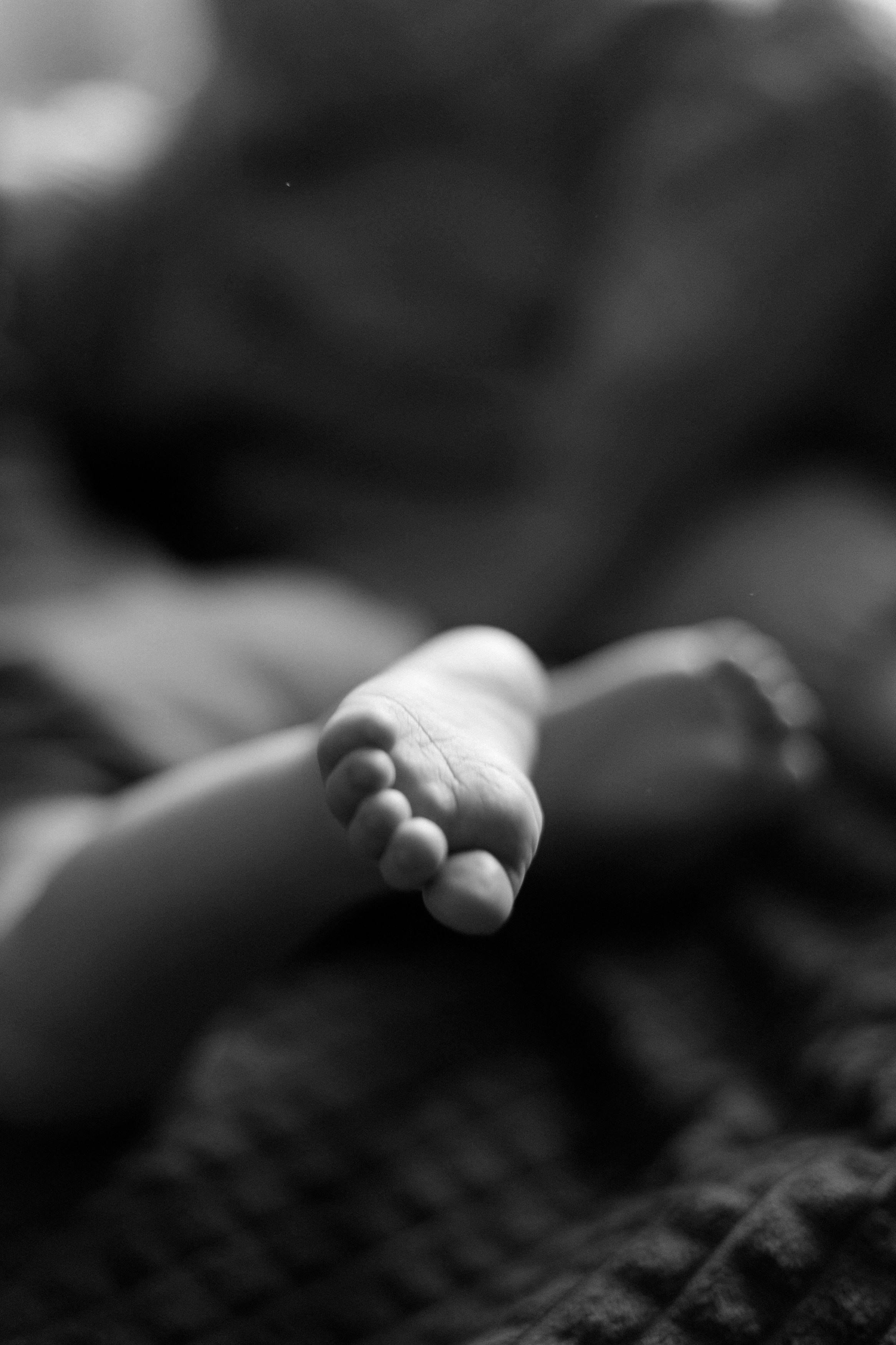 Семья Рисованых. Семейный фотограф Челябинск