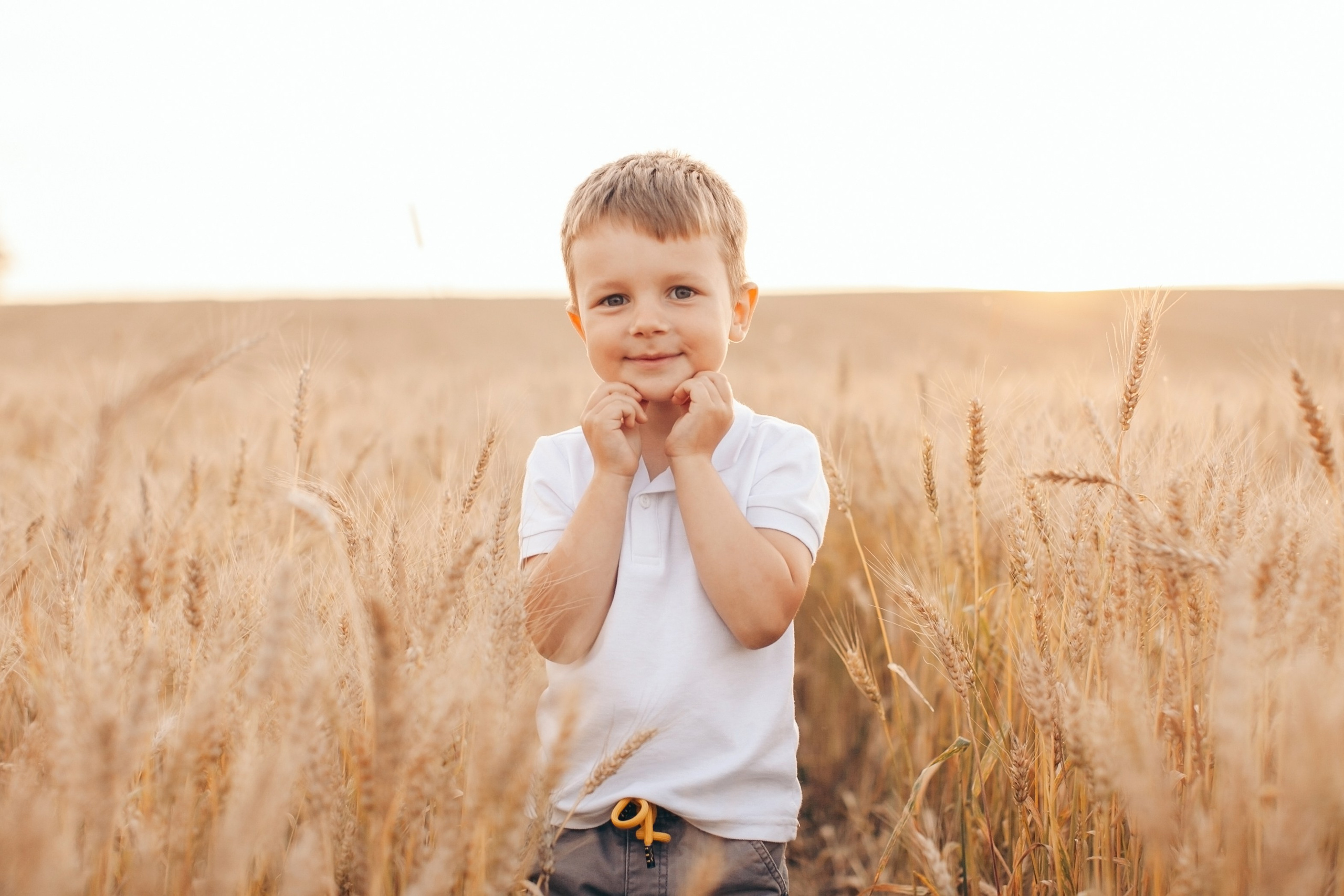 Семейная фотосессия в поле на закате. Фотограф Ольга Ефремова
