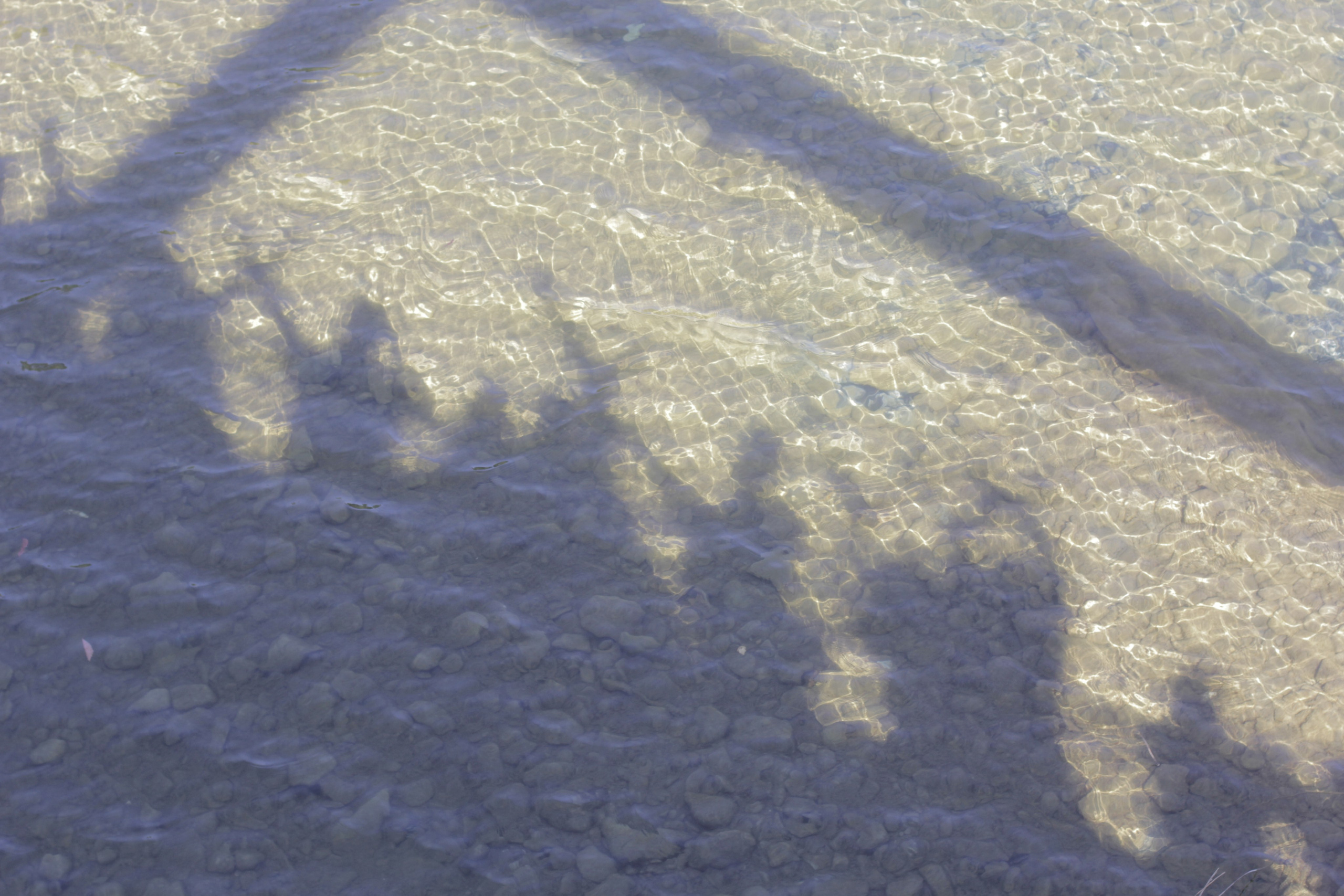 Горячий Ключ (2024-09-22). Собор Отрасли