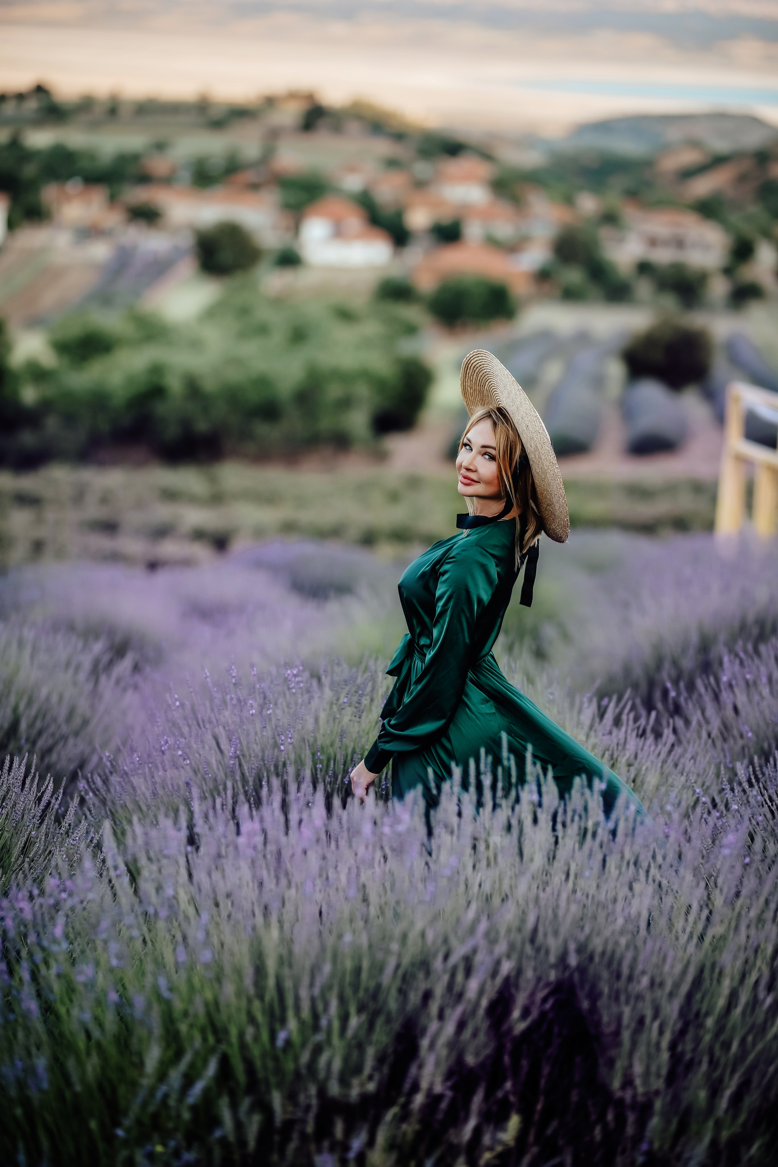 Lavender fields in Turkey