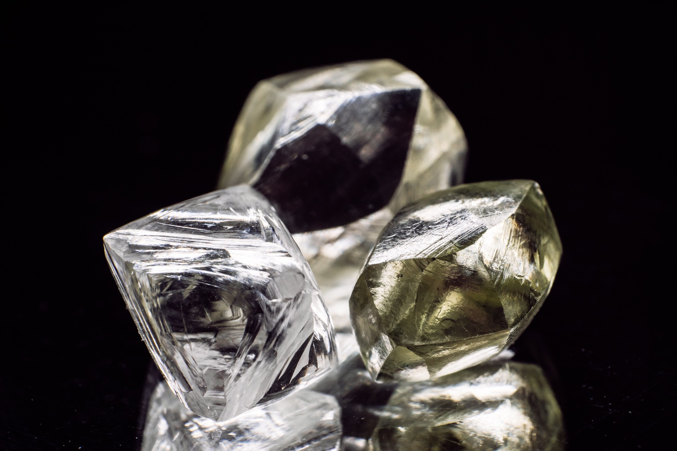 Форумы. All In Media — фотосъёмка и видеопродакшн