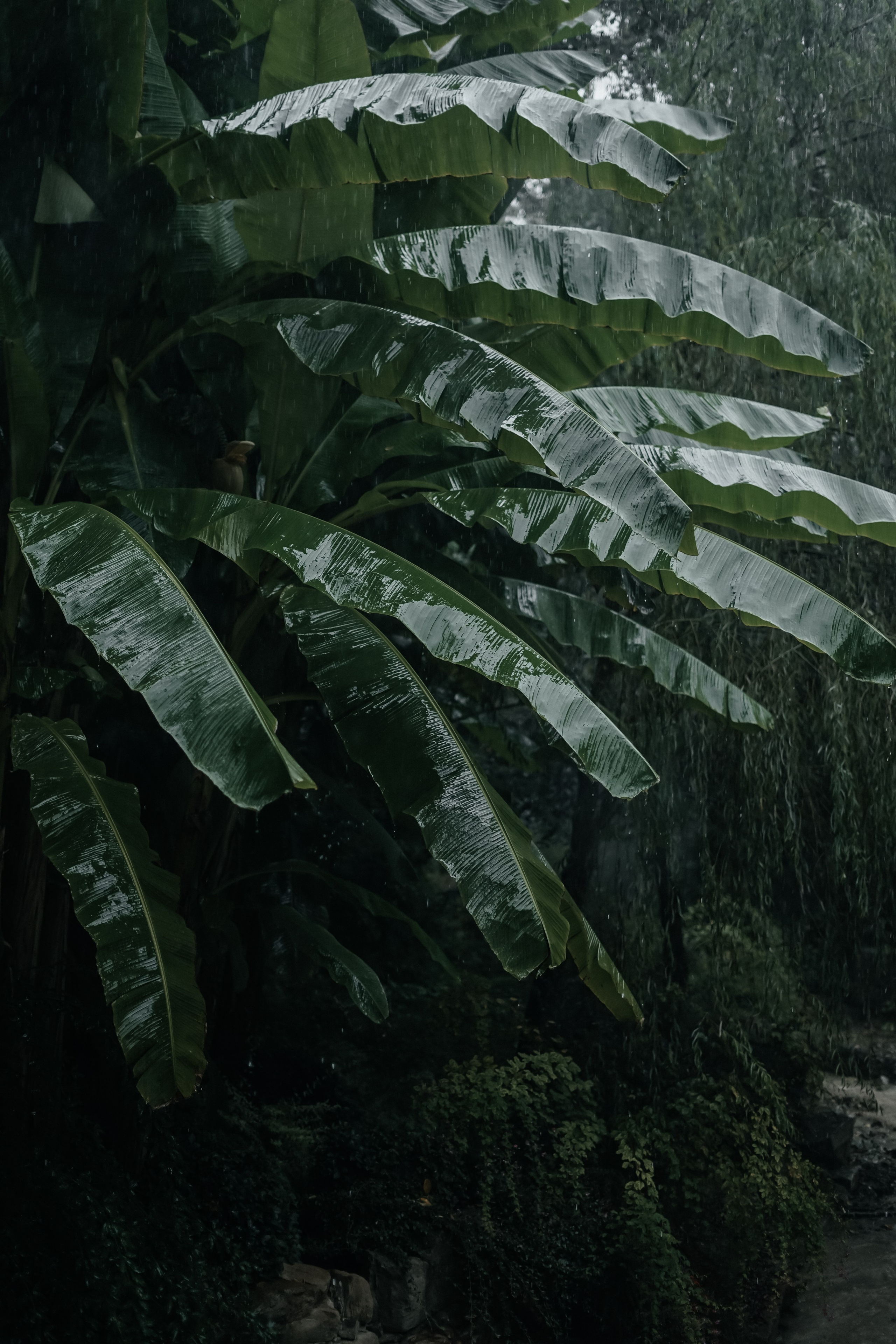 В «Мамай Кале». Главная