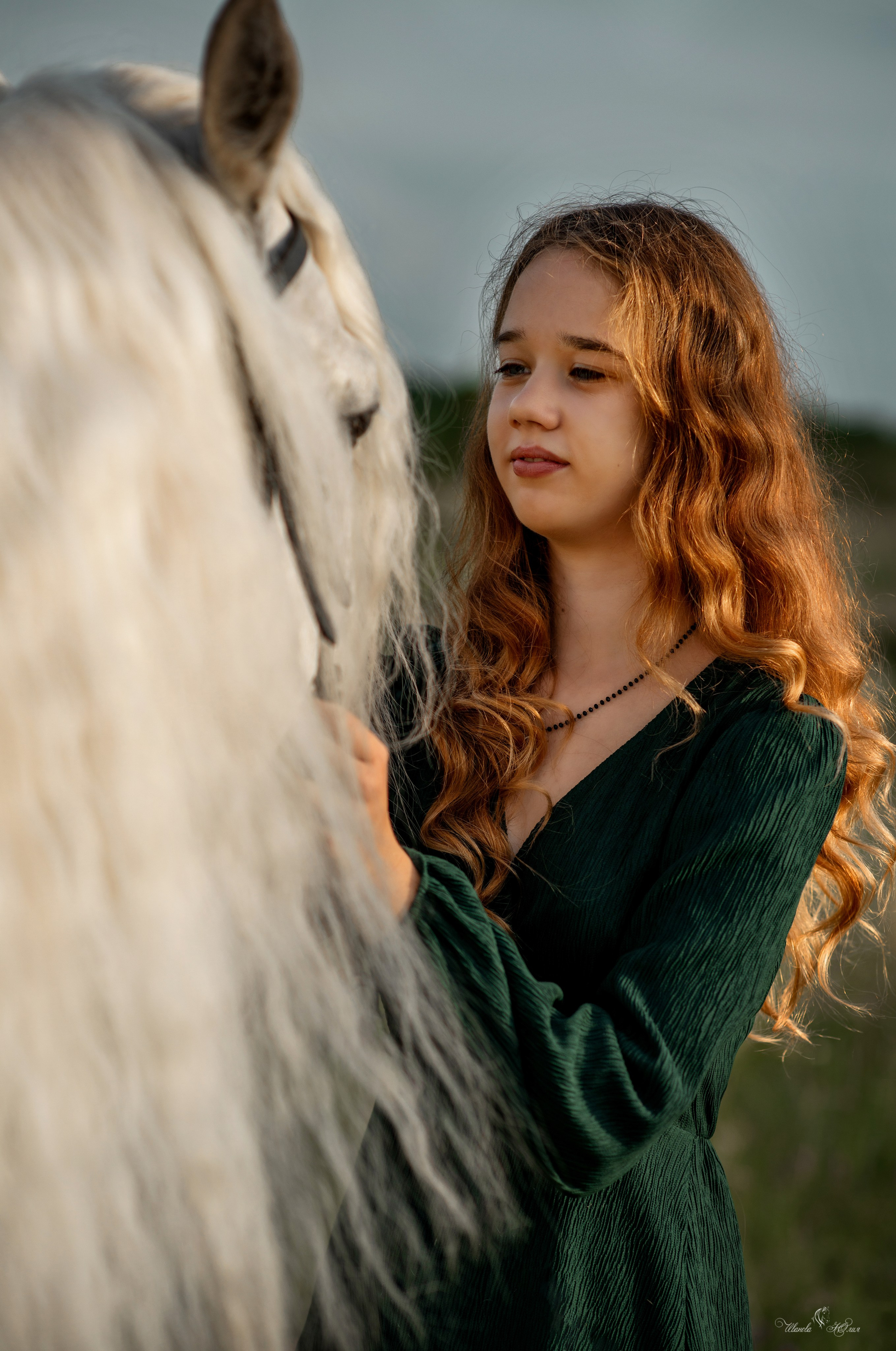 Виктория и Вымпел. Конный фотограф в Саратове Юлия Иванова