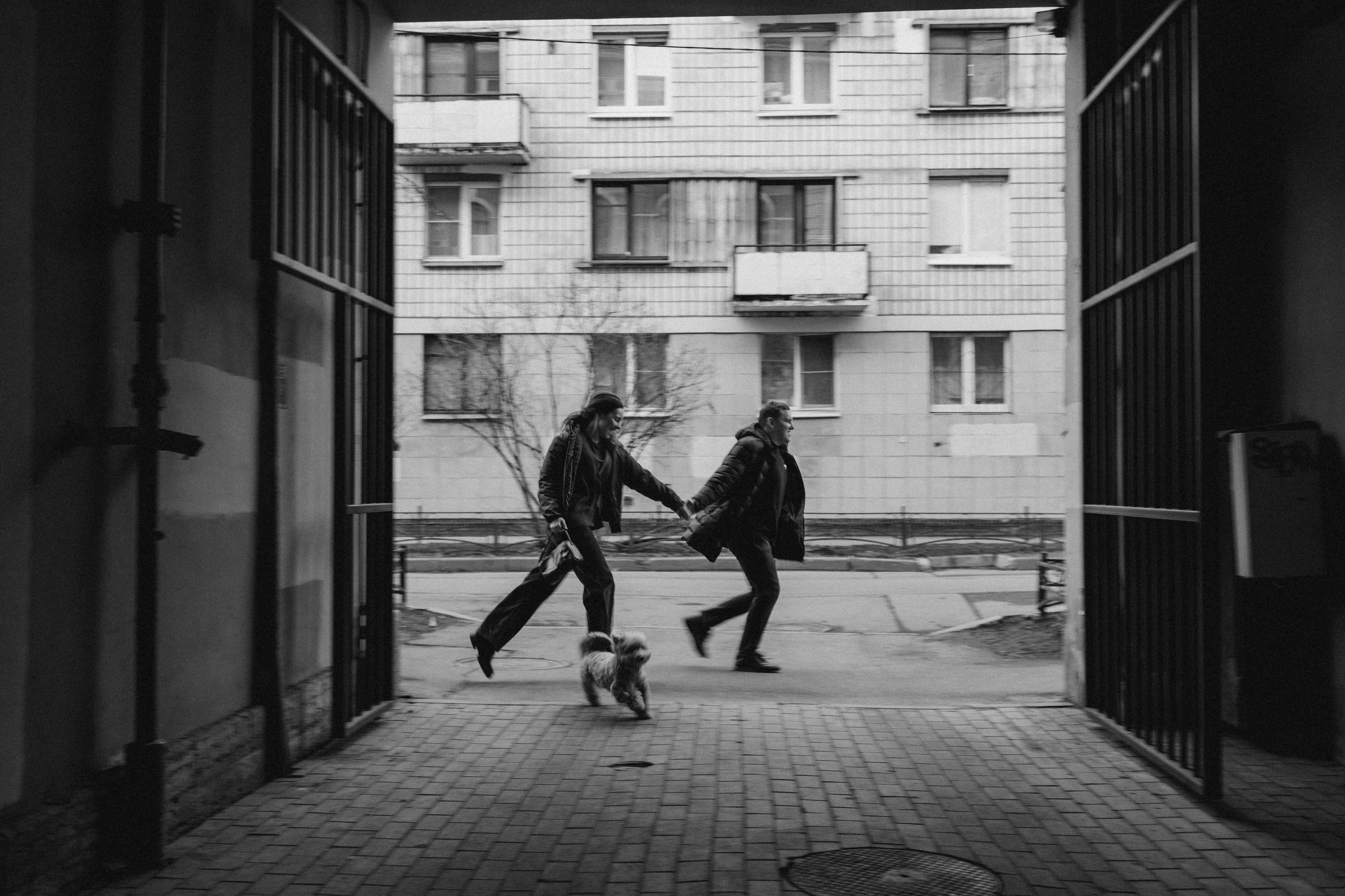 Шкипер и его семья. Фотограф — Анималист | Санкт-Петербург