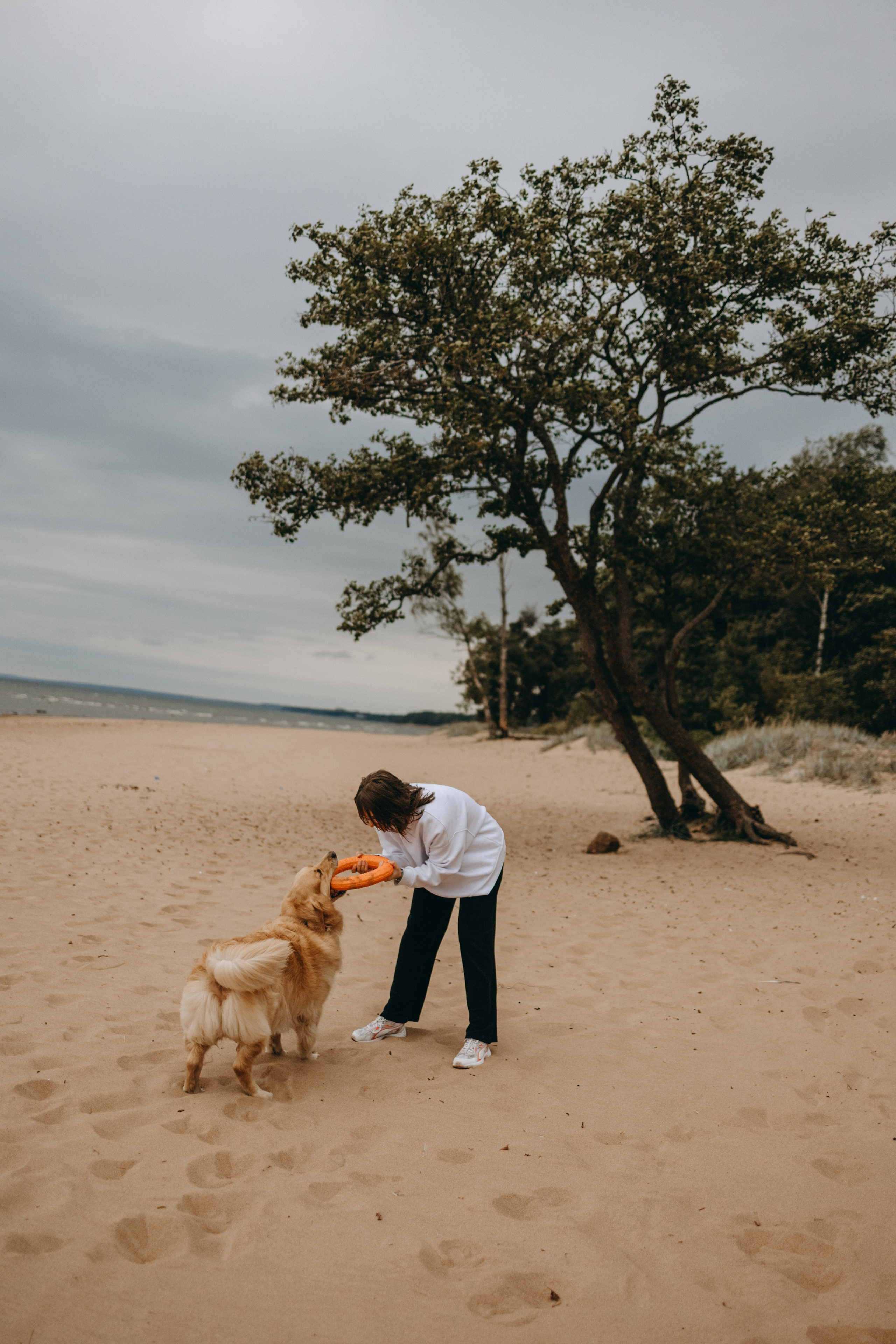 Фоси и его семьи. Фотограф — Анималист | Санкт-Петербург