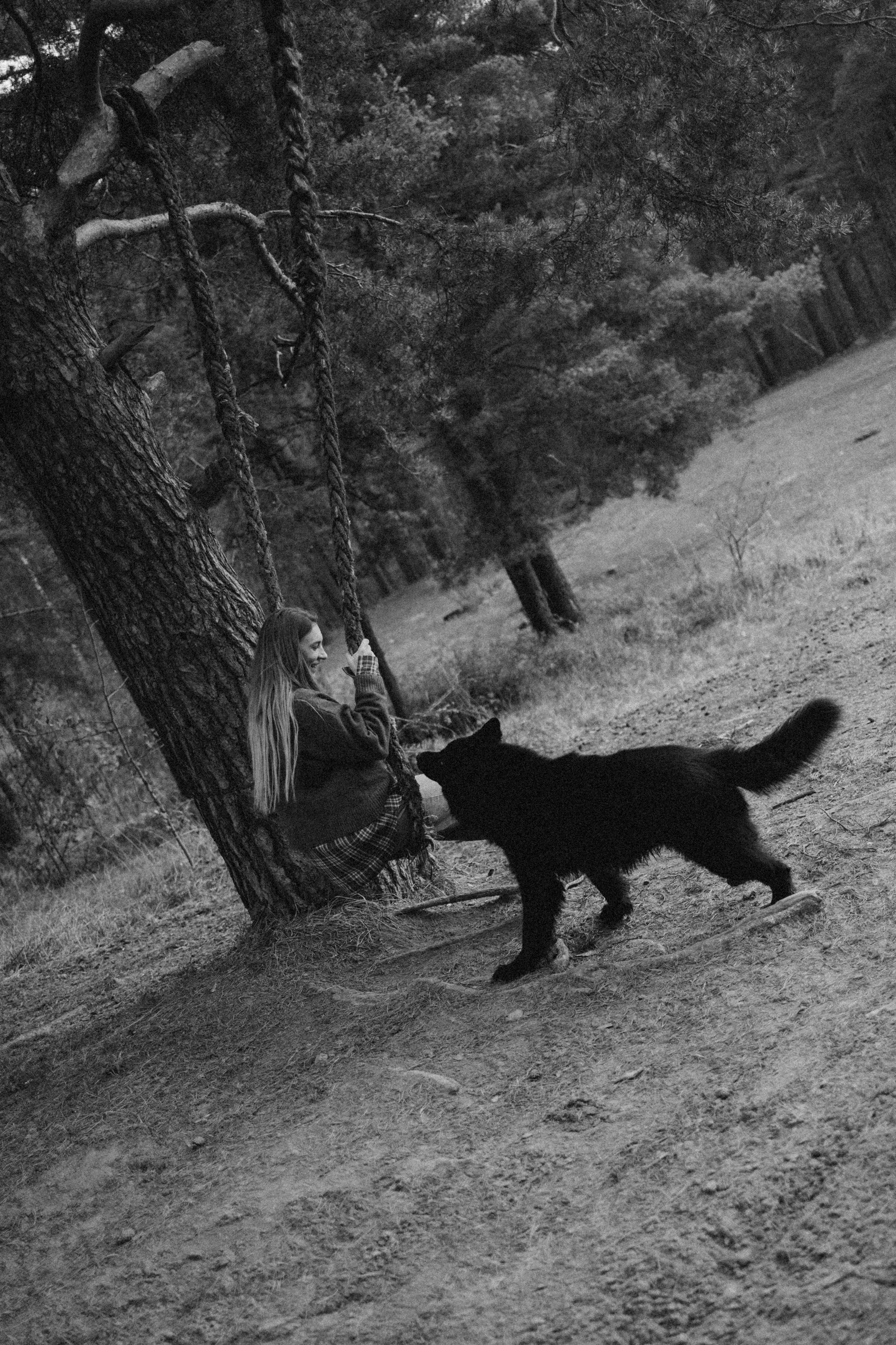 Лора и Джанго. Фотограф — Анималист | Санкт-Петербург