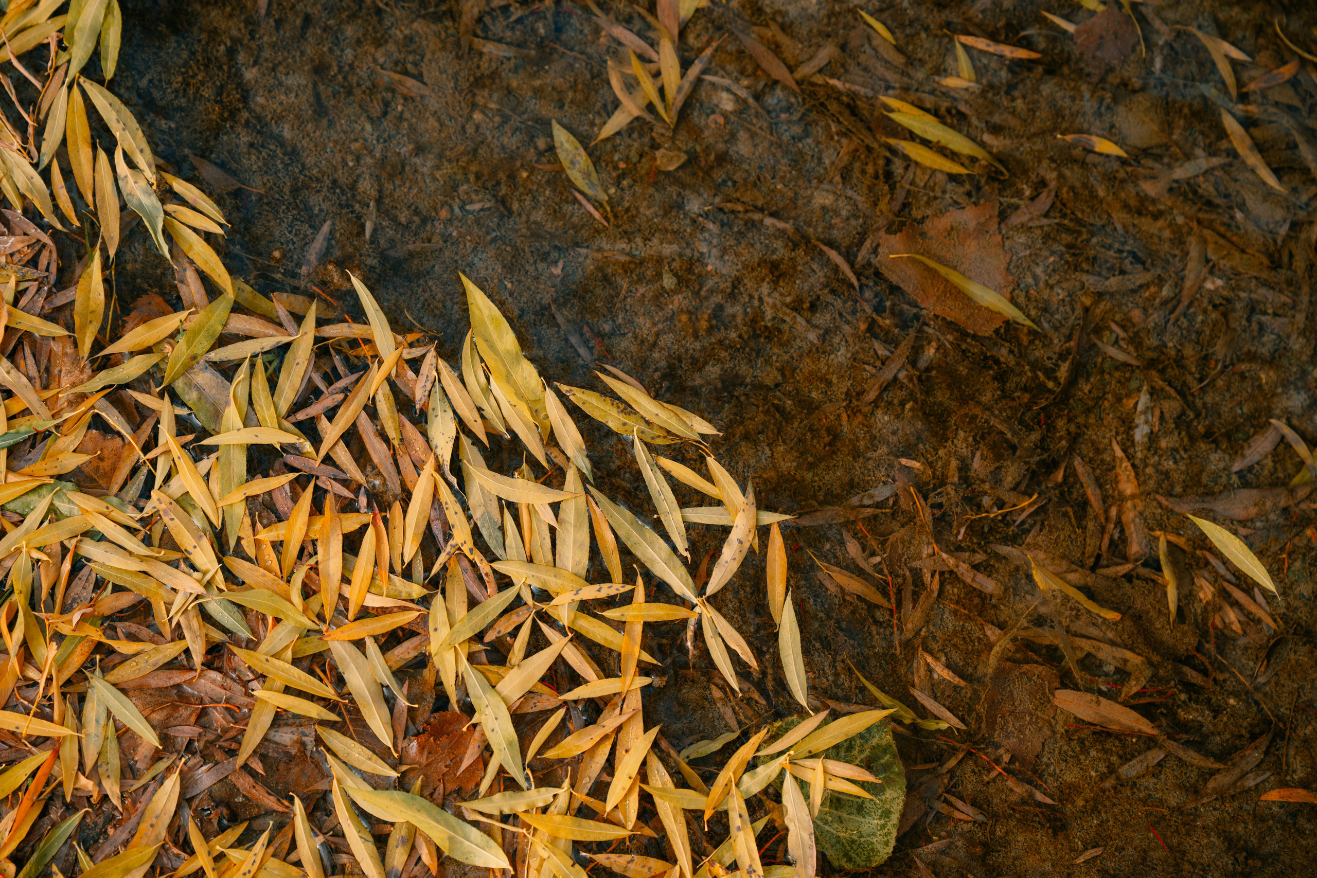 Озеро Иссык, осень 2025. Фотограф в Алматы — Алексей Коньков | Репортаж, свадьбы, портреты