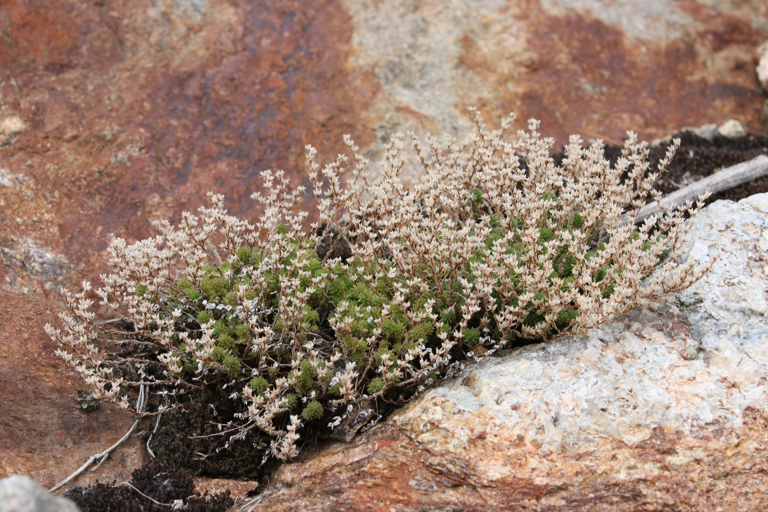 Приэльбрусье. Сентябрь 2023. Путешественник-фотограф из Санкт-Петербурга Татьяна Свистулина