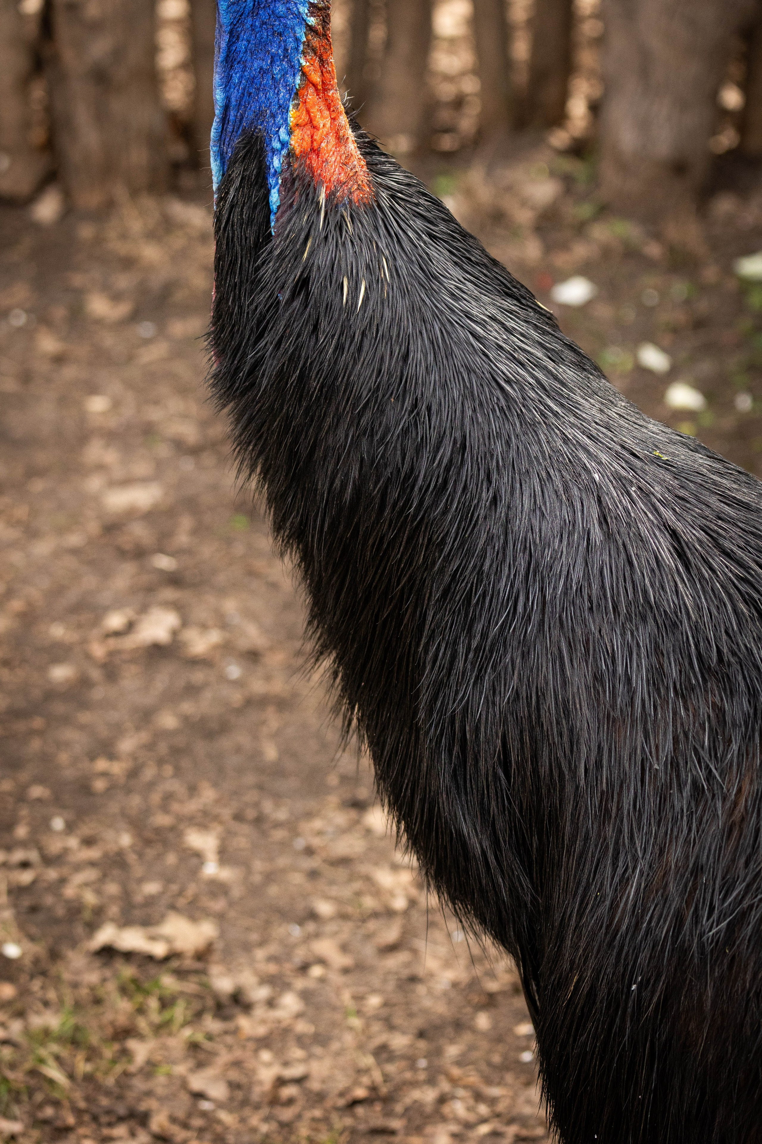 Парк Малинки 2026. Фотограф-АниМалист Анна Абрамова