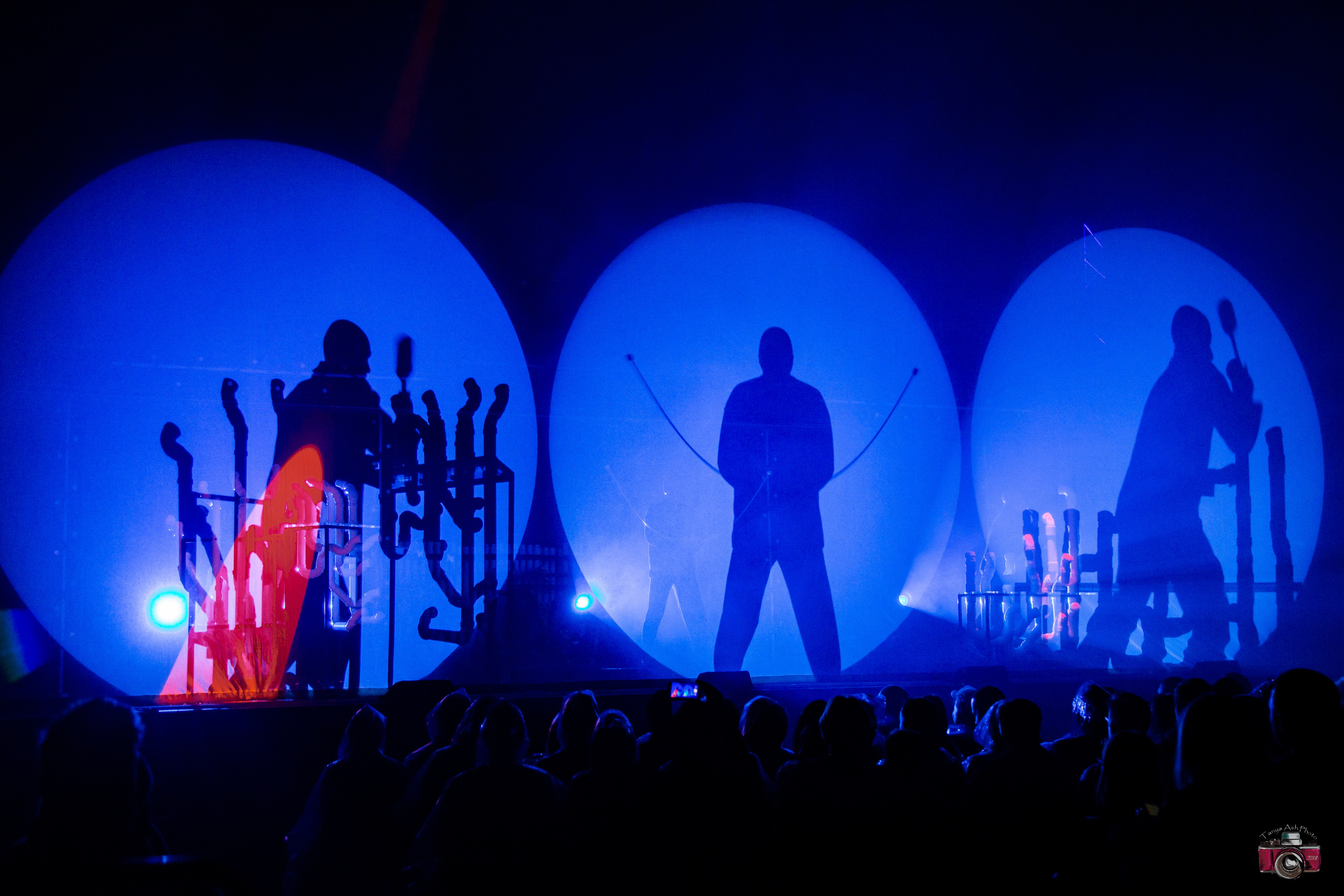 Выступление Blue Man Group. Фотограф Сонкина Татьяна