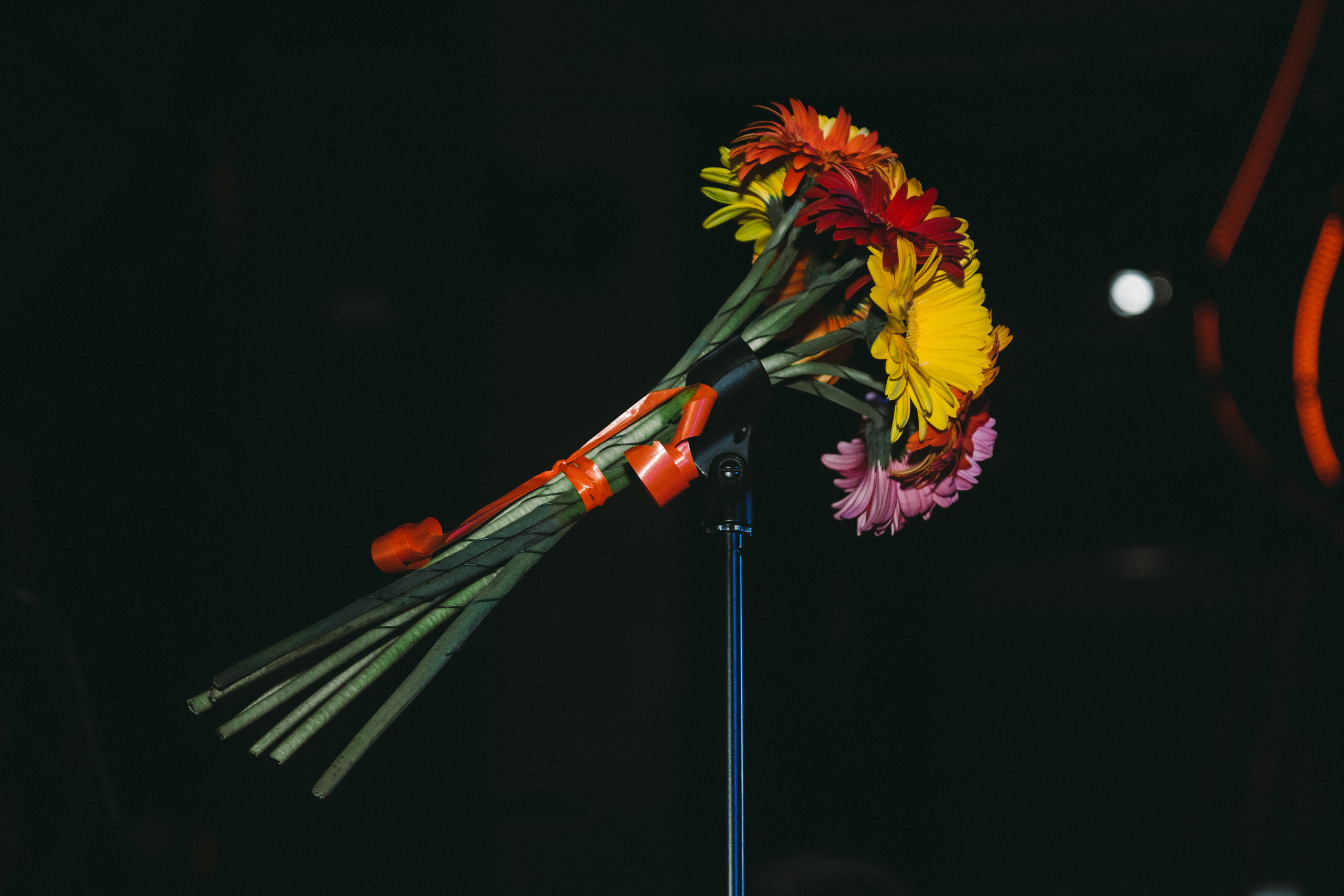 Певица Линда. Фотограф Сонкина Татьяна