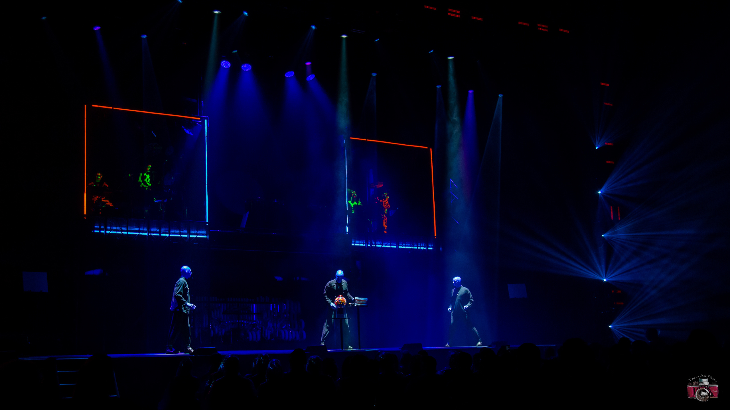 Выступление Blue Man Group. Фотограф Сонкина Татьяна