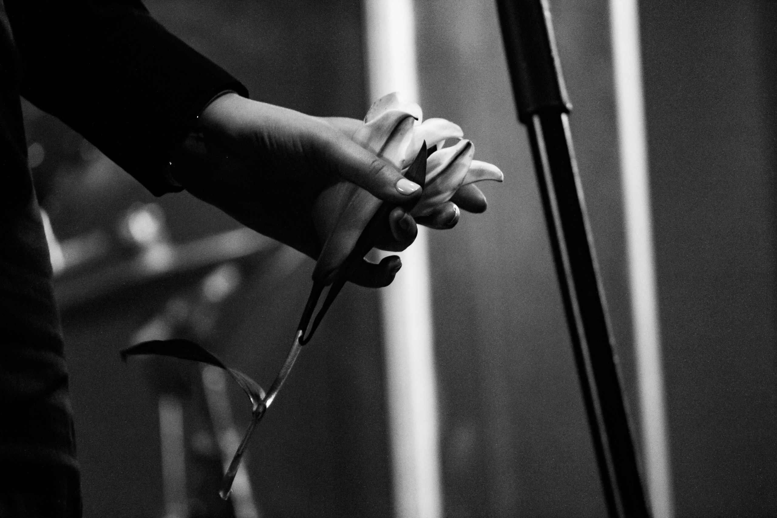 Группа Theodor Bastard. Photographer Sonkina Tatiana (Tanya Ash)