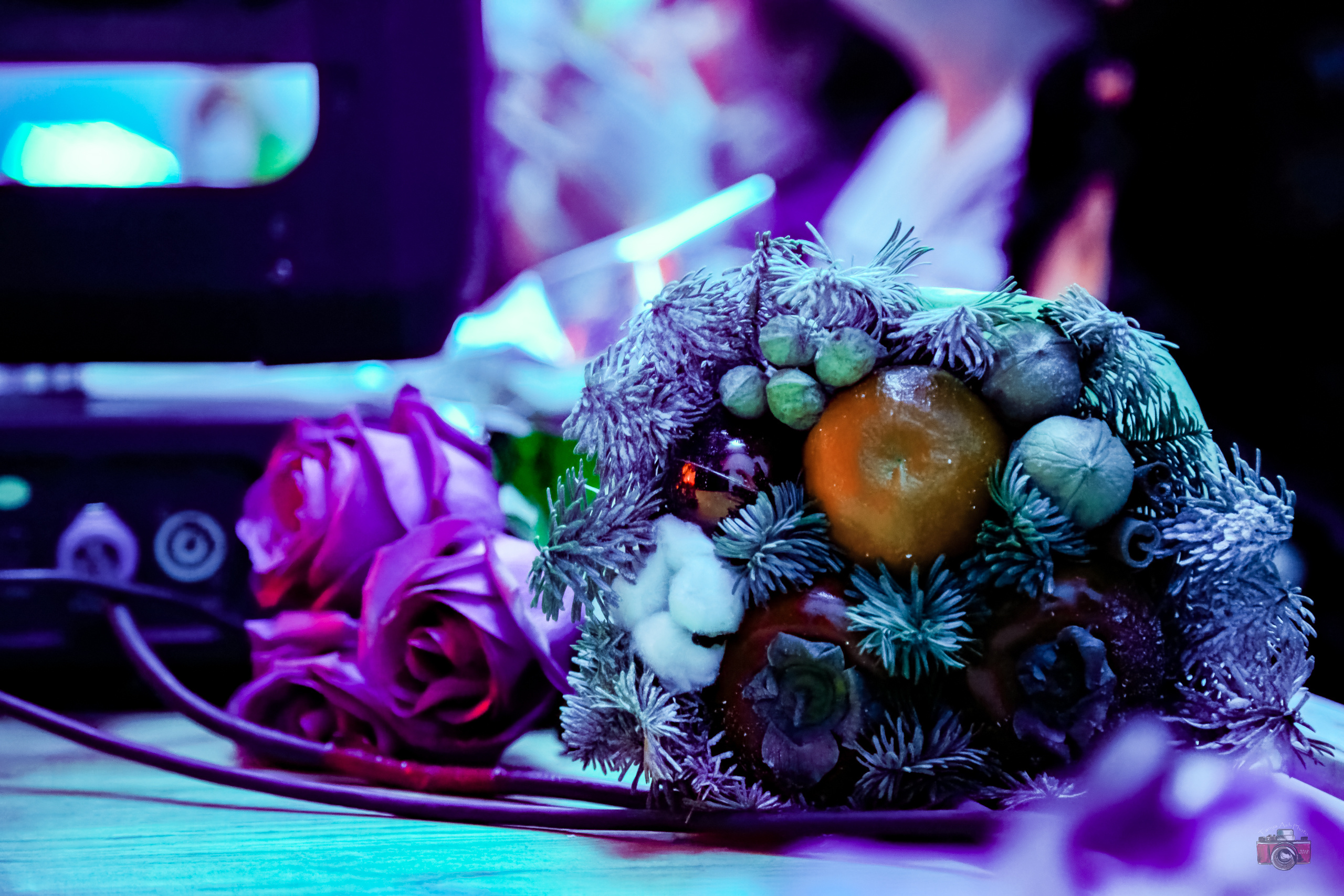 Группа Пикник. Photographer Sonkina Tatiana (Tanya Ash)