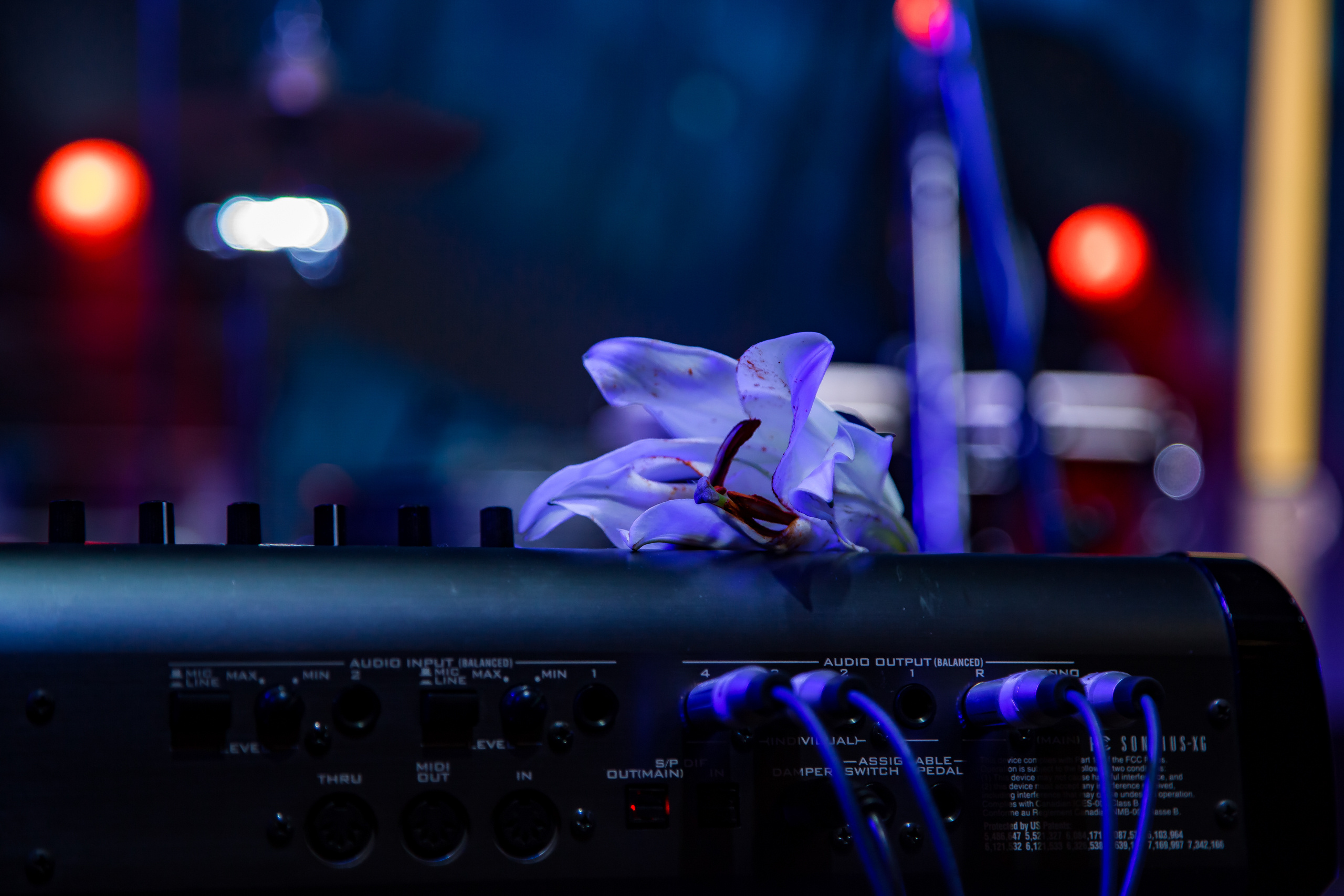 Группа Theodor Bastard. Photographer Sonkina Tatiana (Tanya Ash)