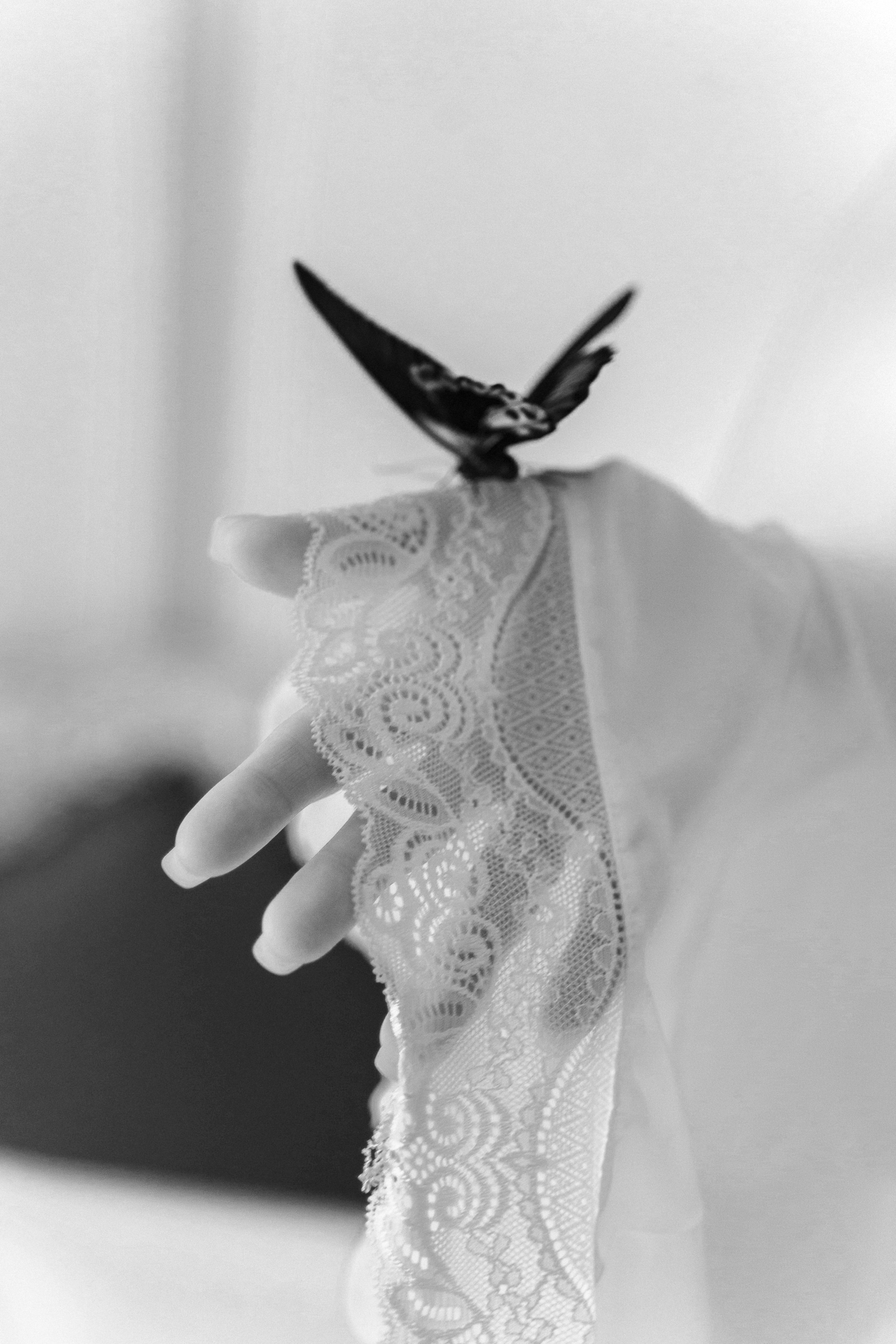 Trezzini Palace. Свадебный фотограф Москва