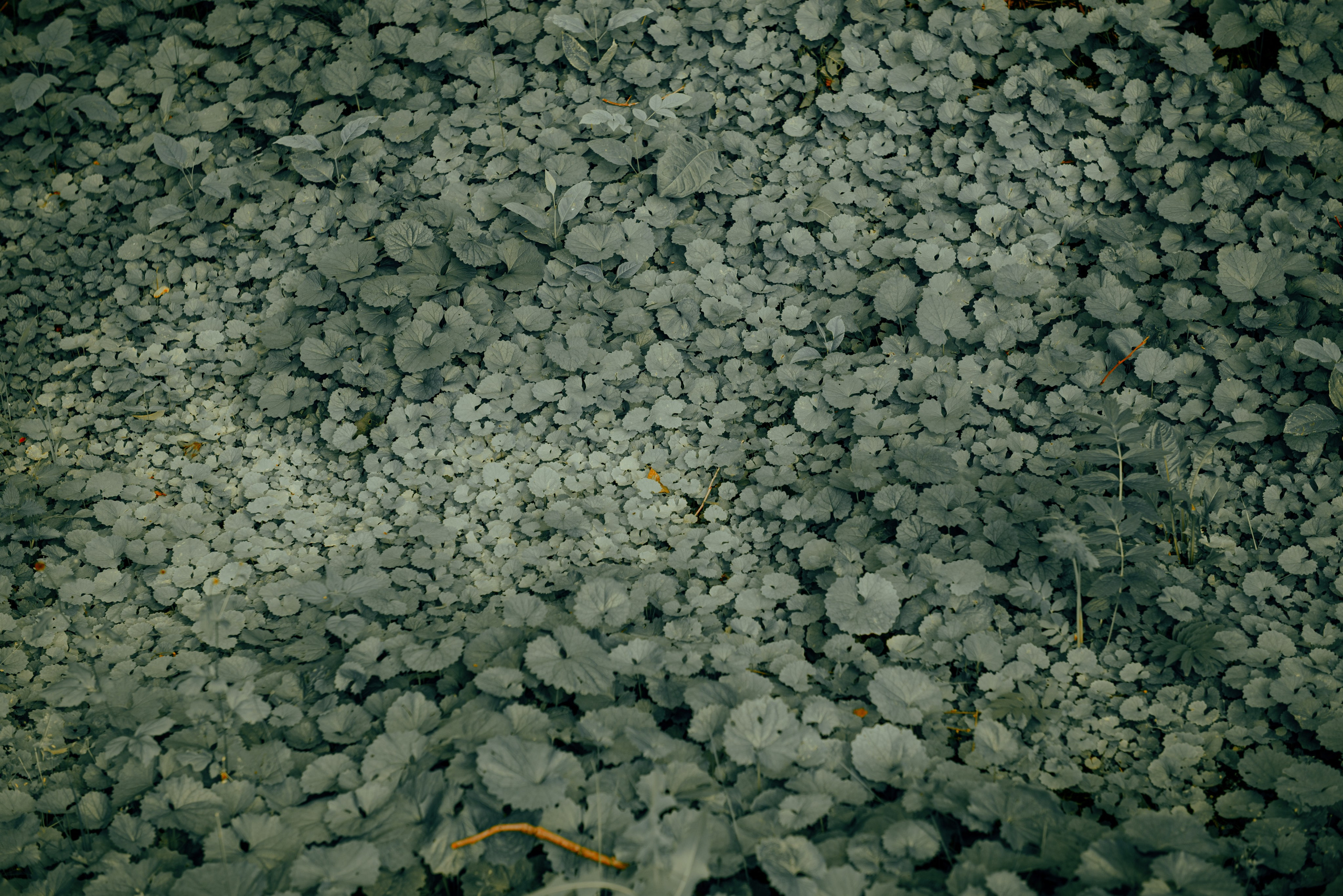 Евгения. Портретный и архитектурный фотограф в Москве и Санкт-Петербурге